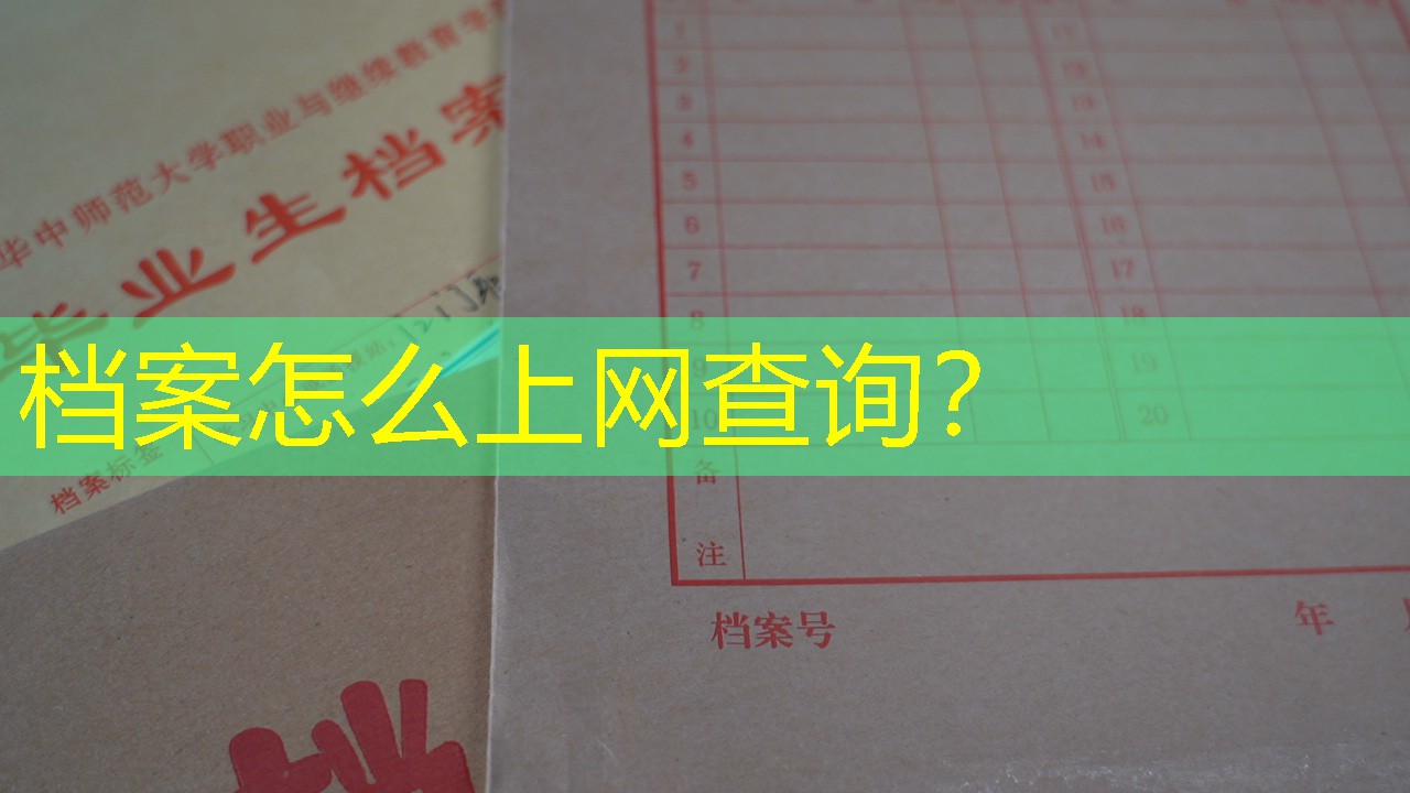档案查询