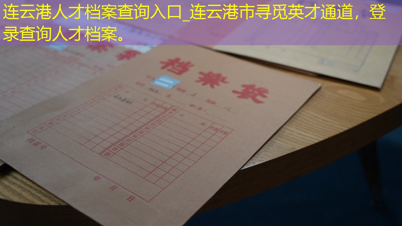 档案查询