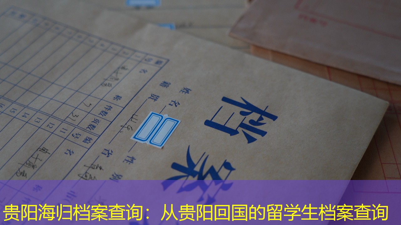 档案查询