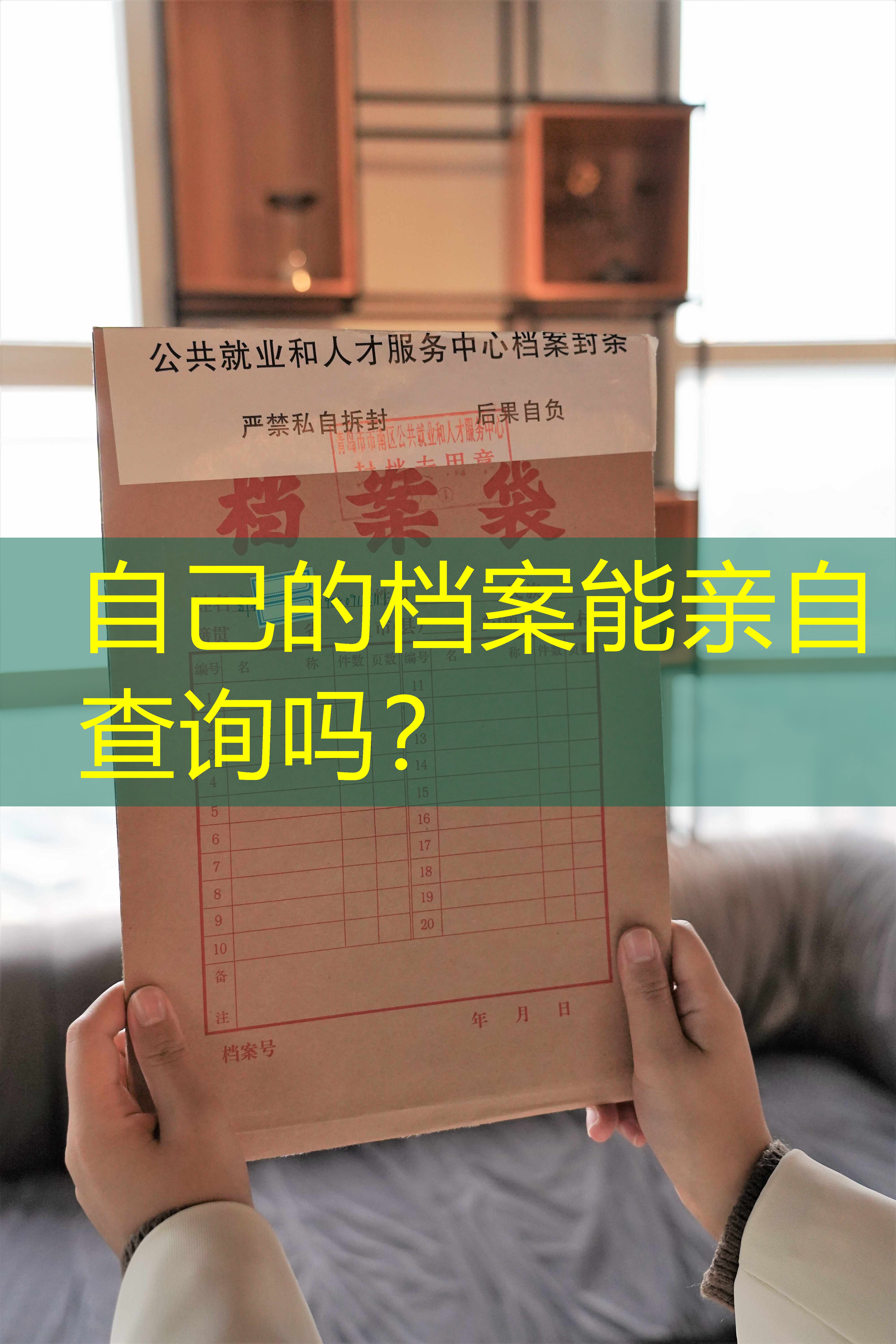 档案查询