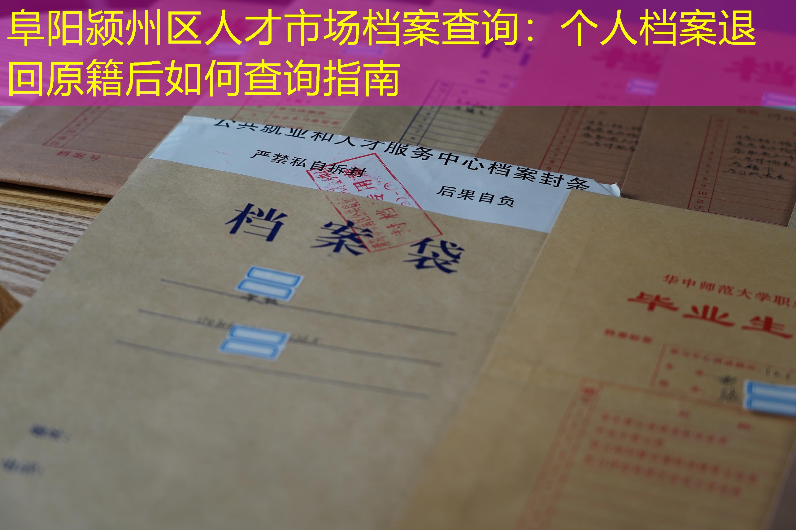 档案查询