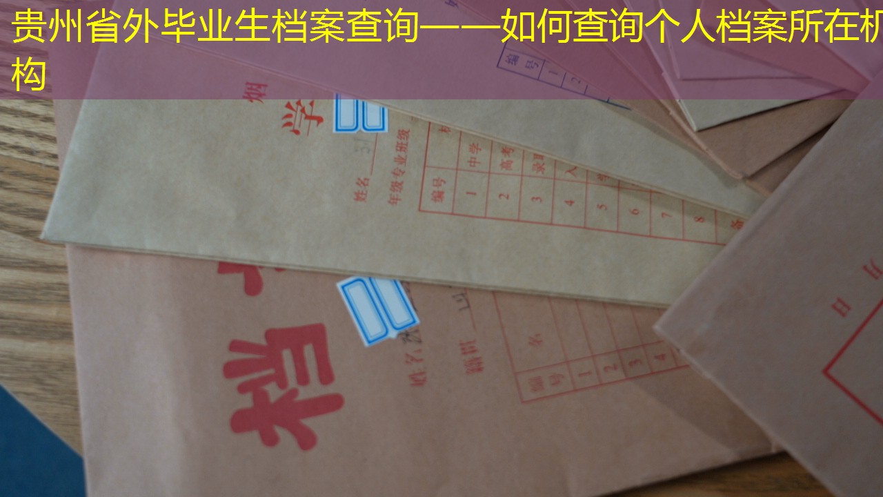 档案查询