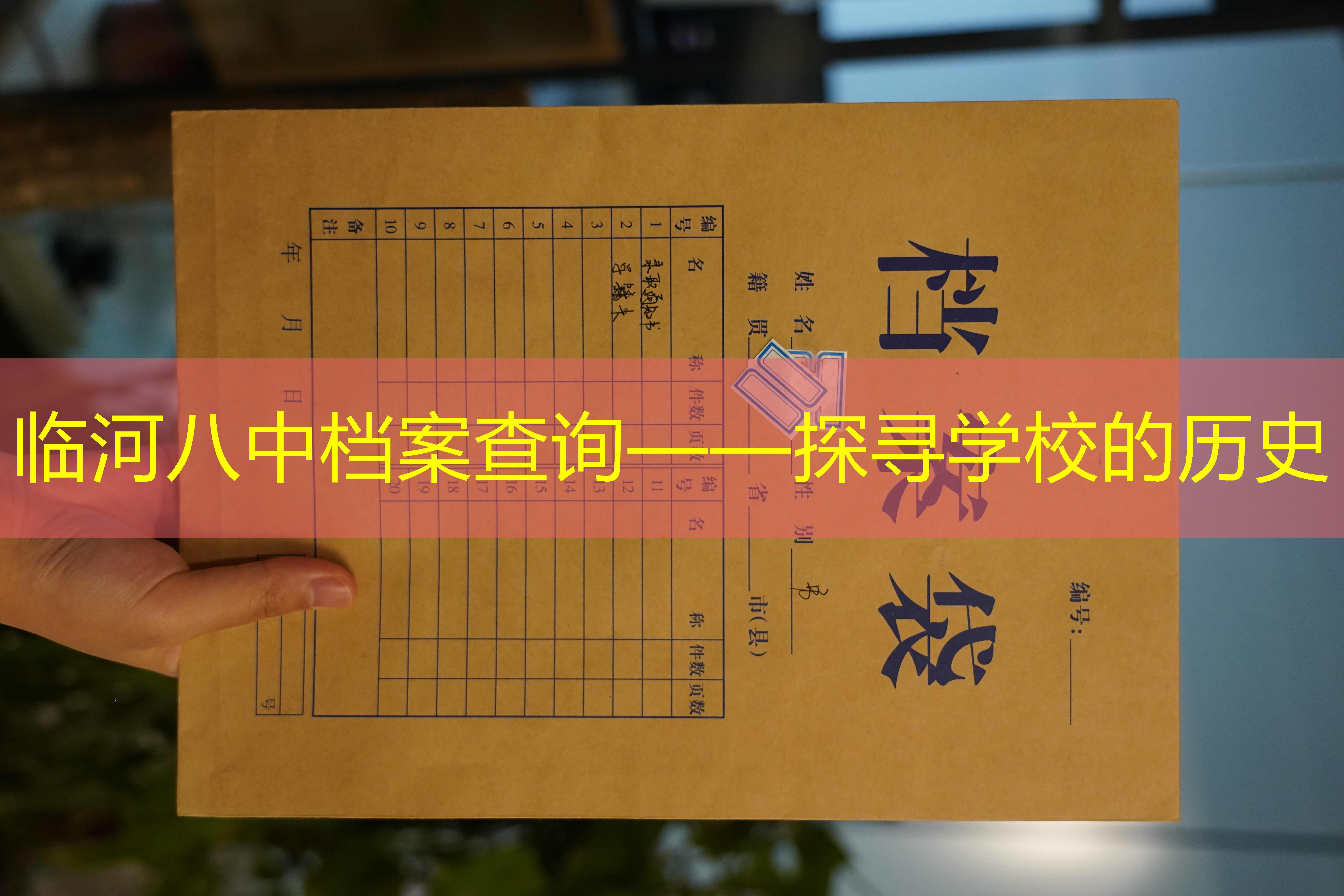 档案查询