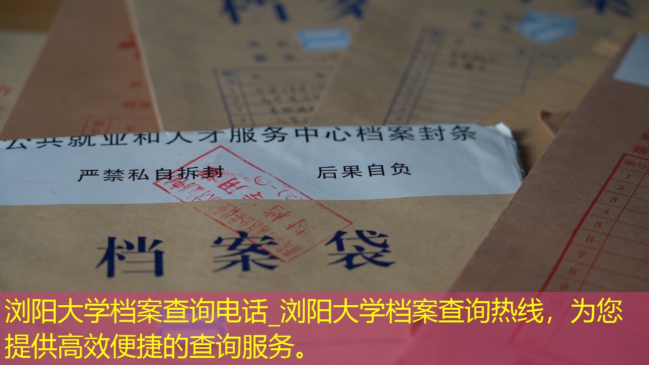 档案查询