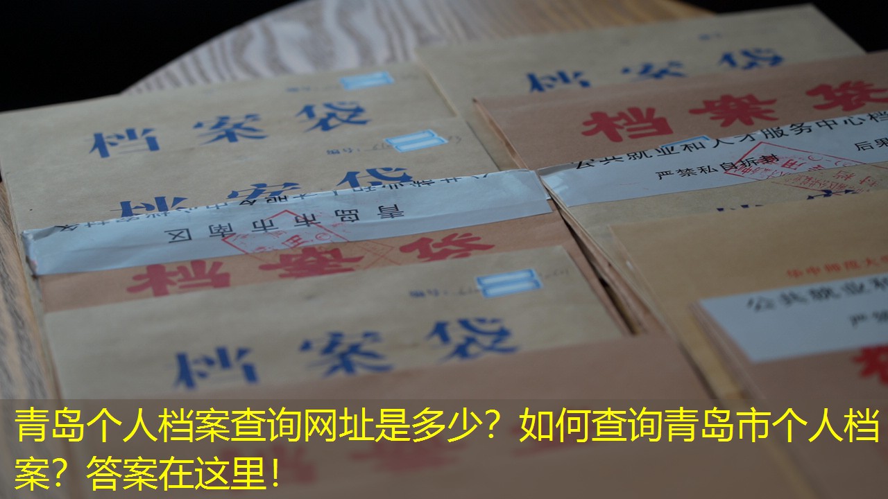 档案查询