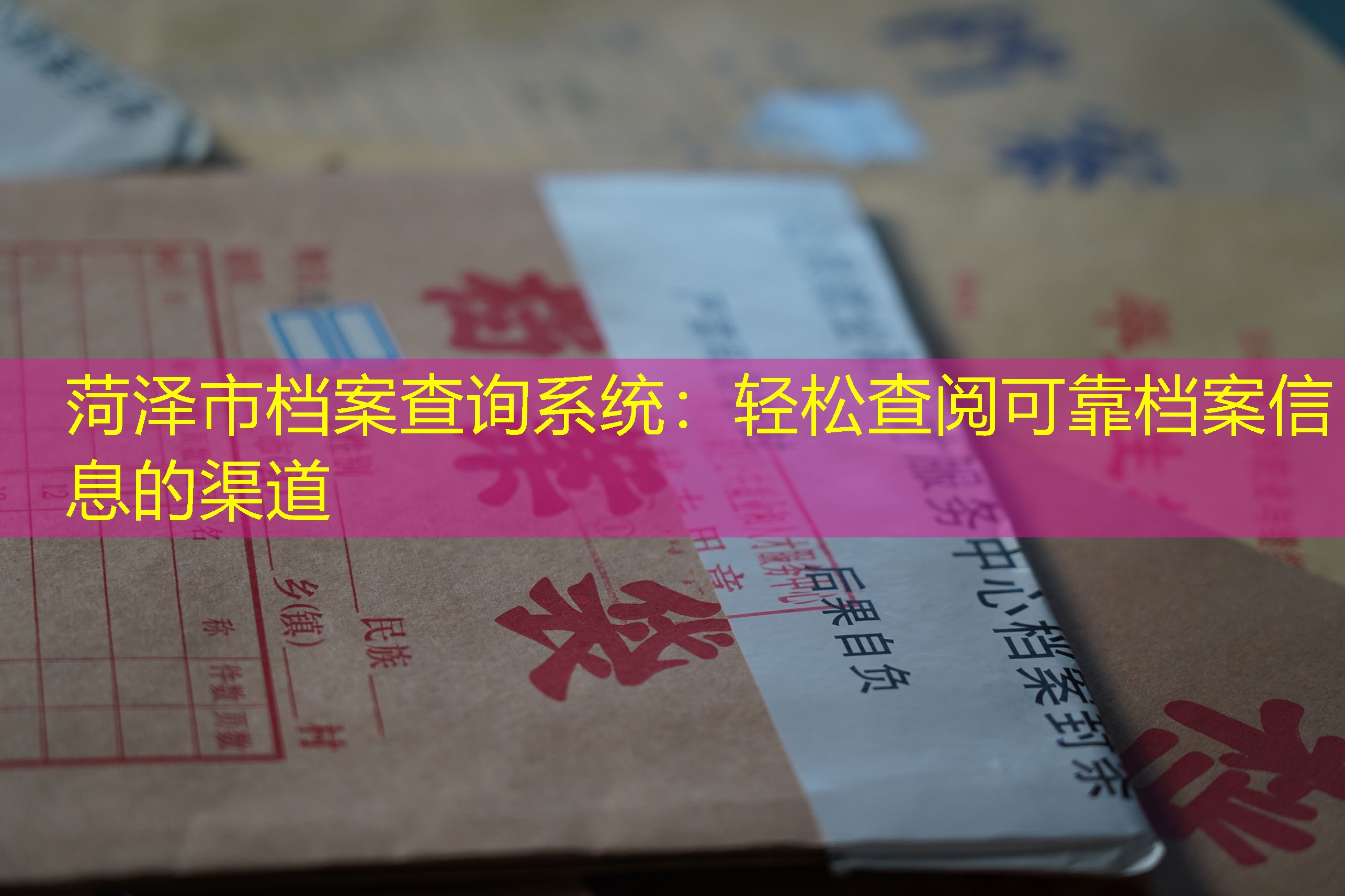 档案查询