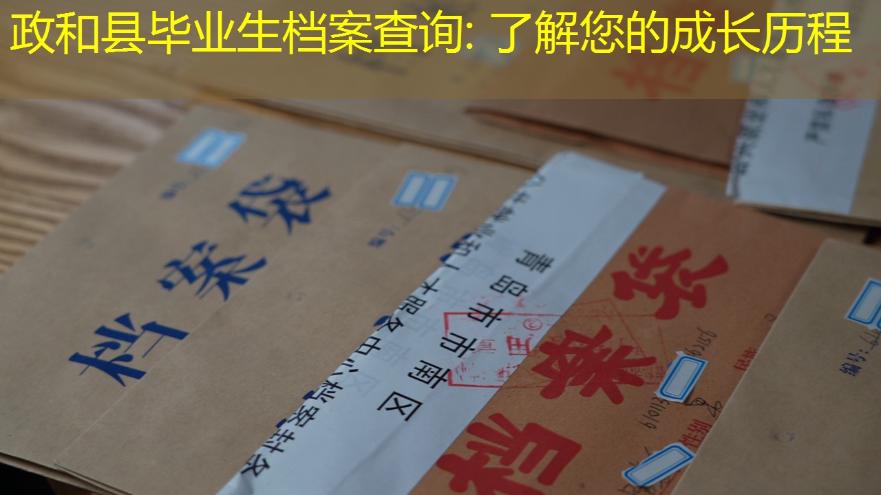 档案查询