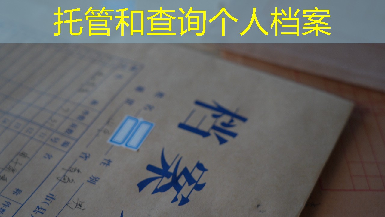 档案查询