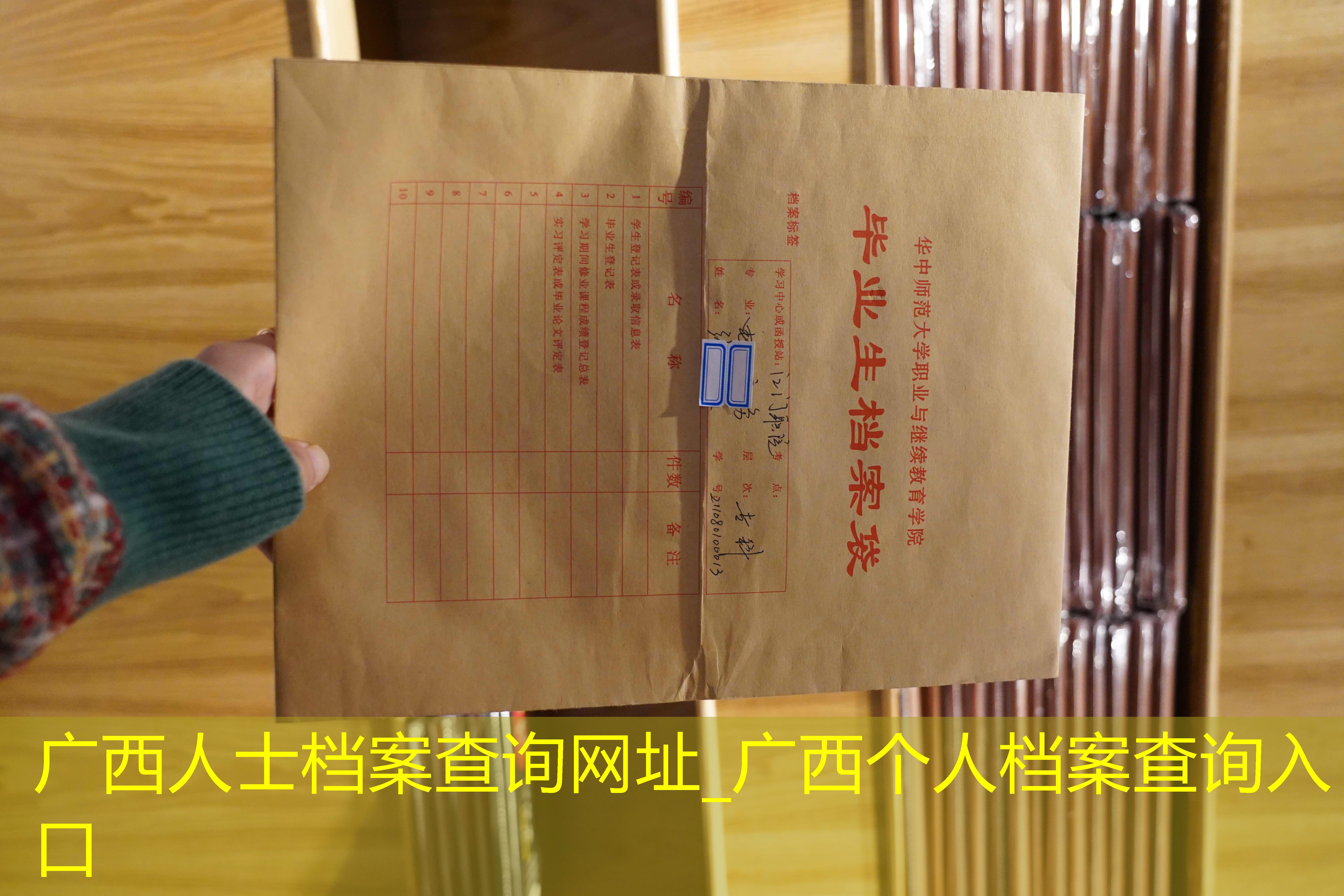 档案查询