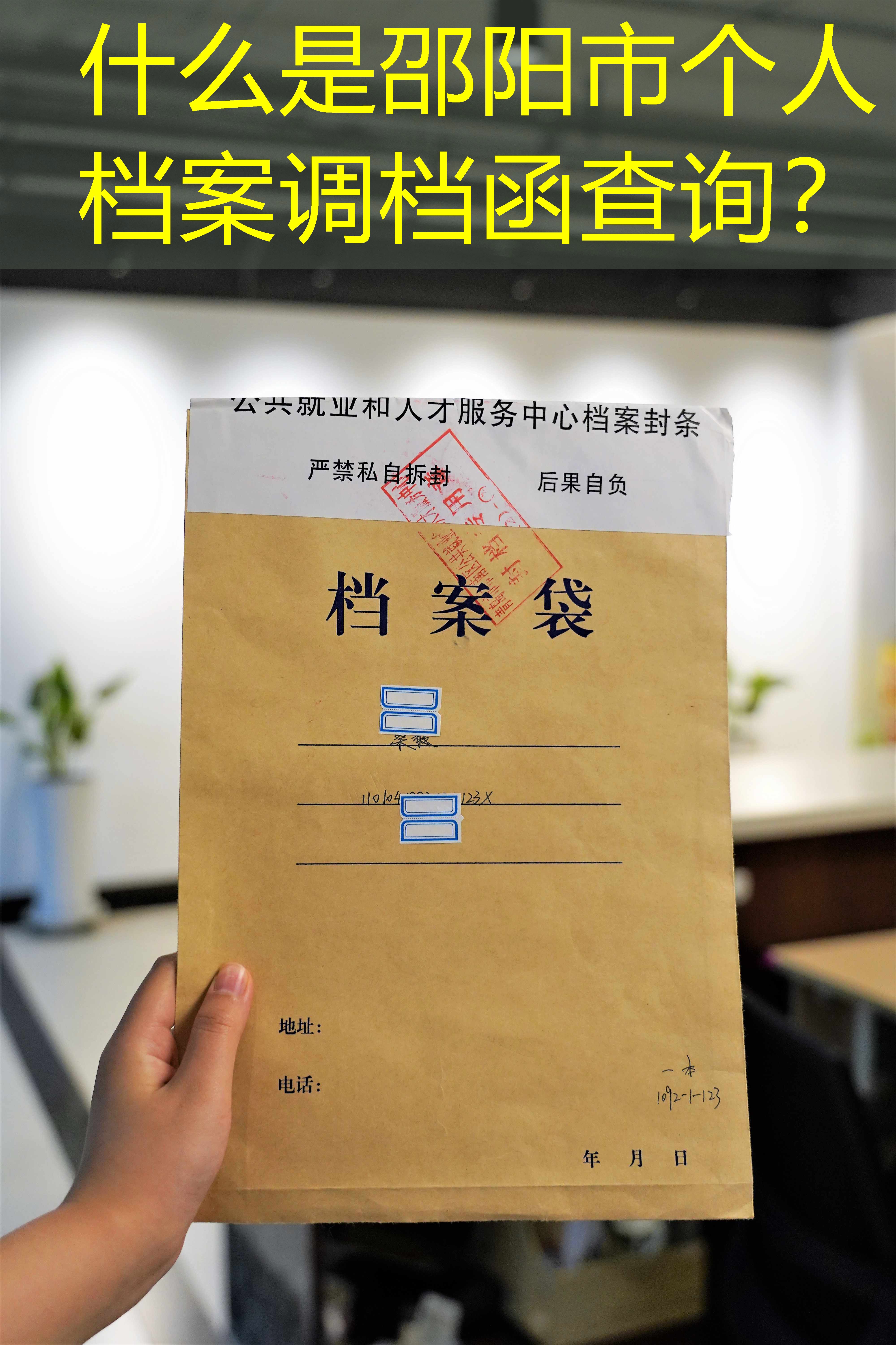 档案查询