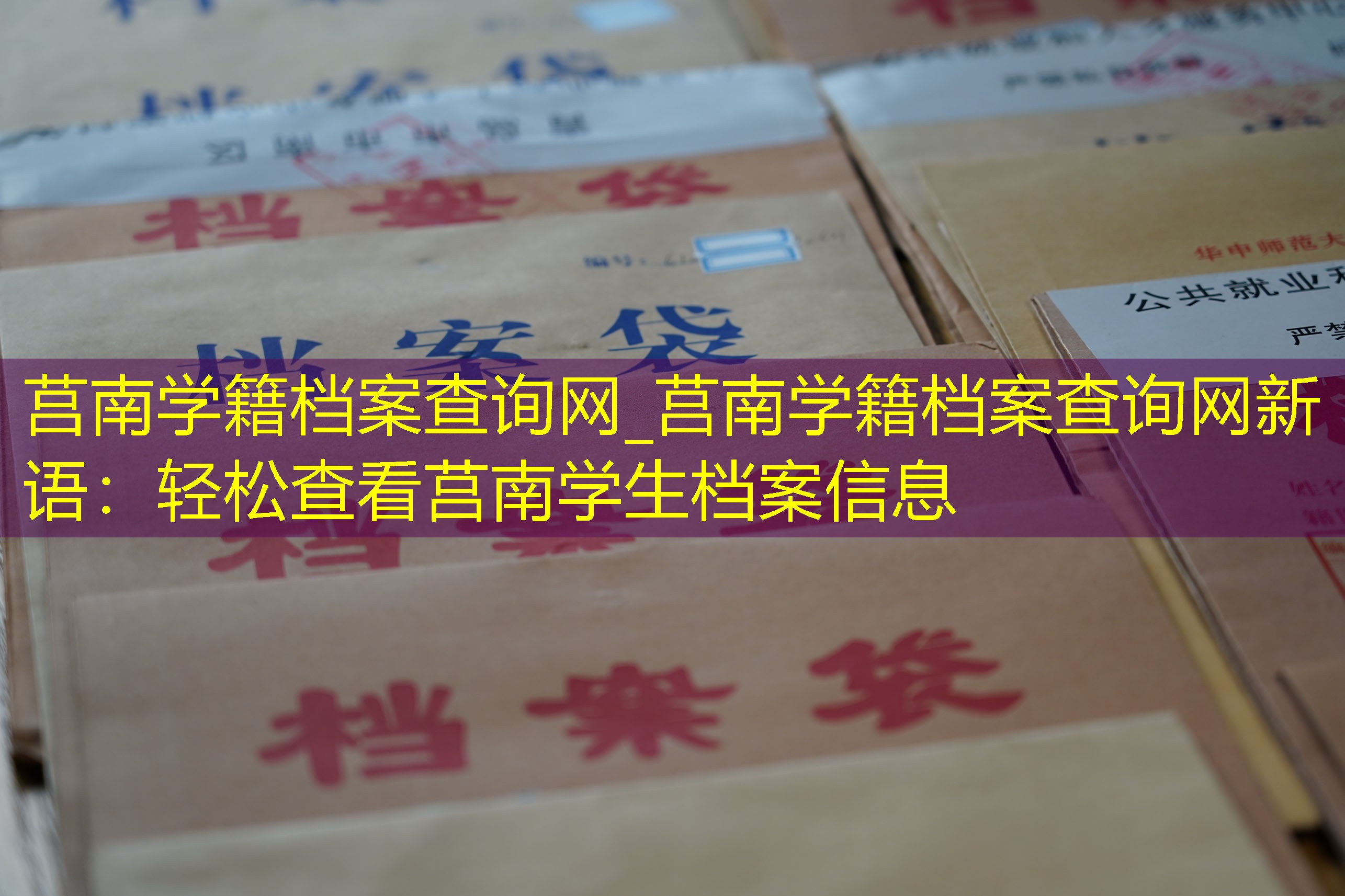 档案查询