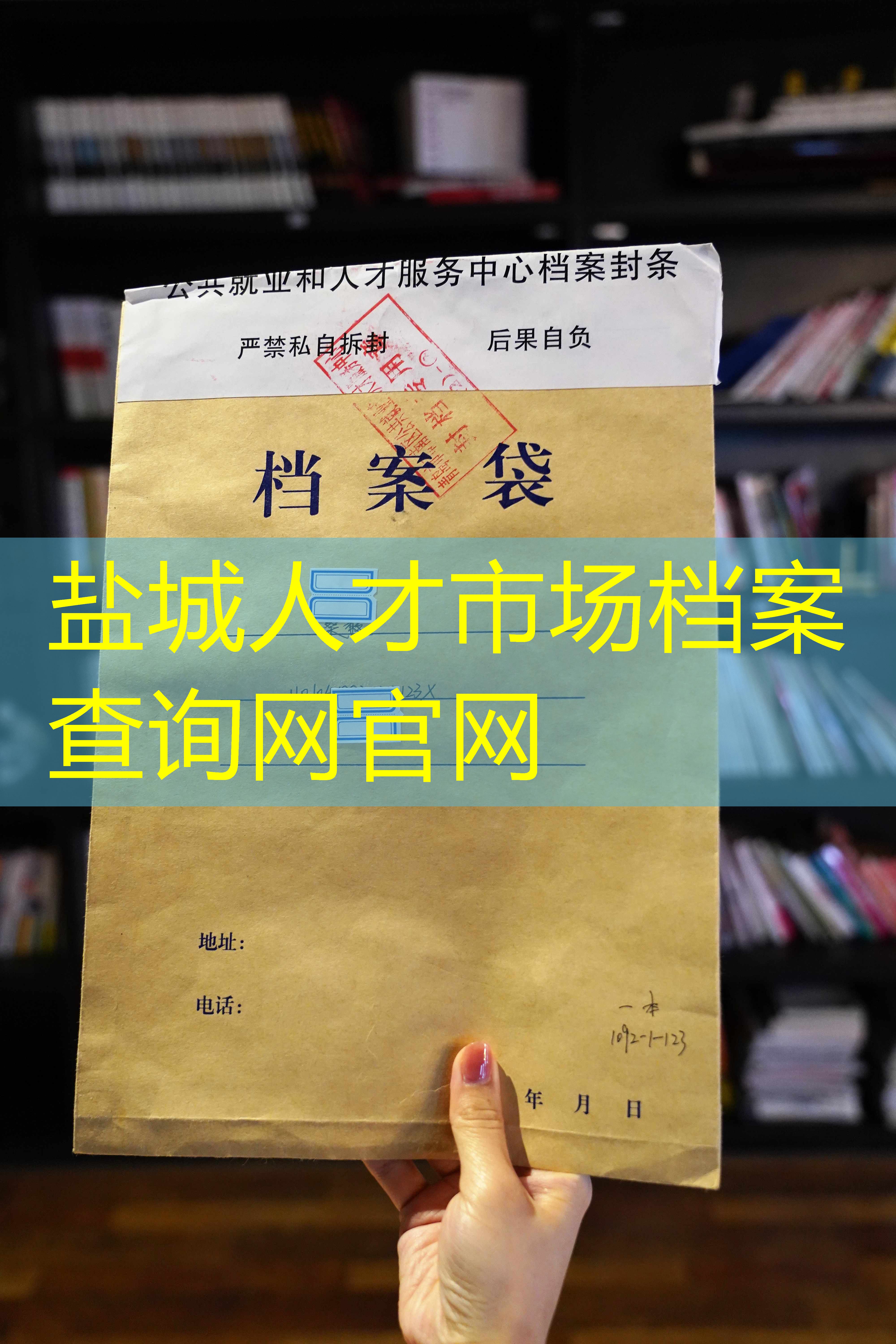 档案查询