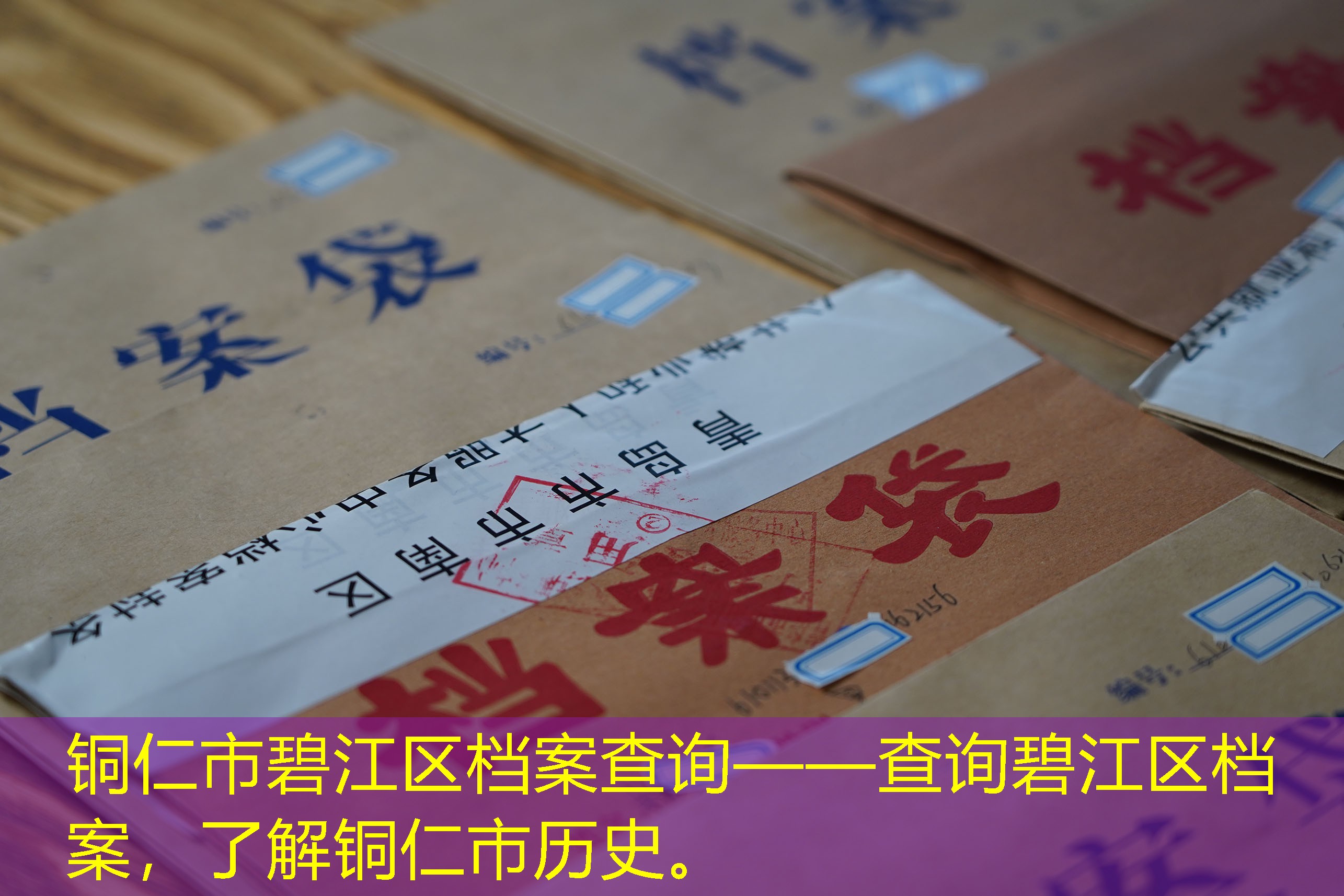 档案查询