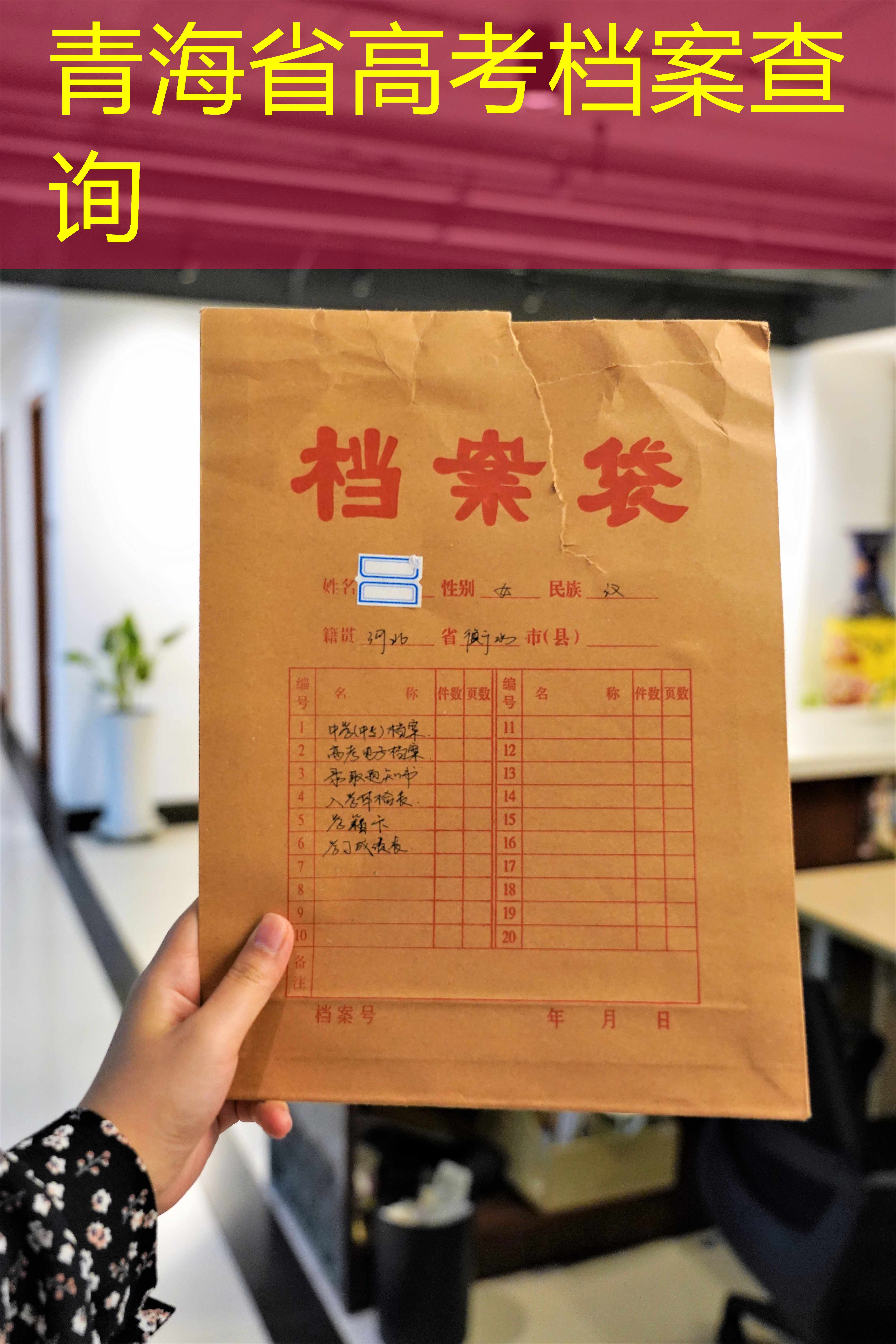 档案查询