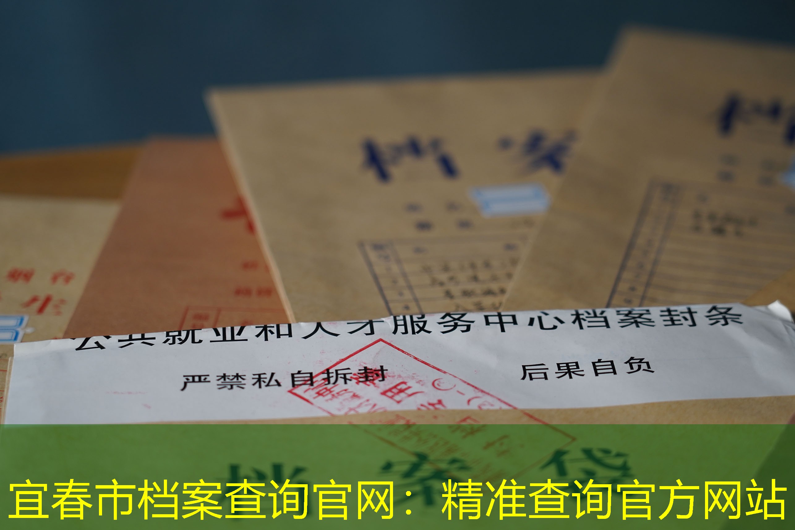 档案查询