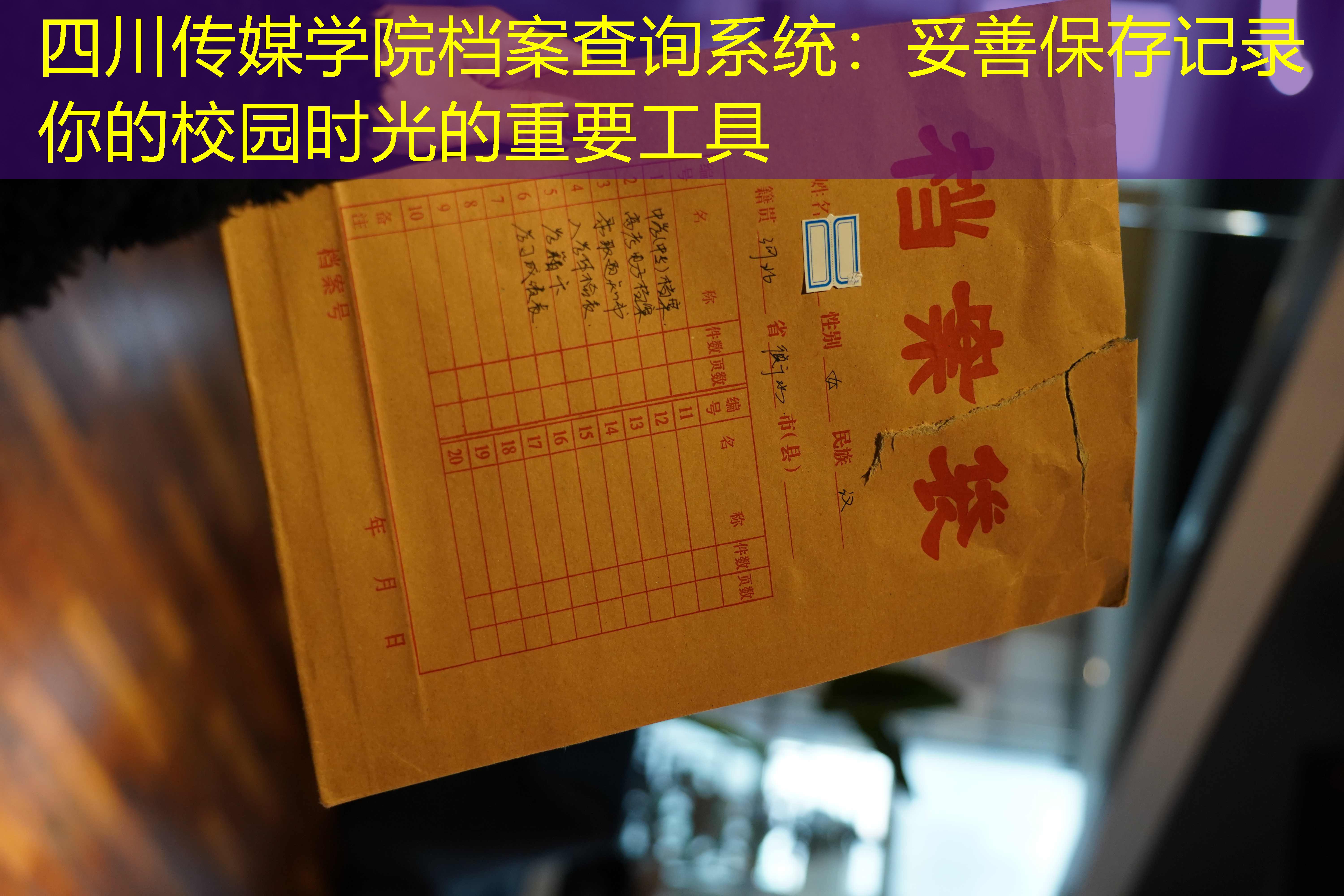 档案查询