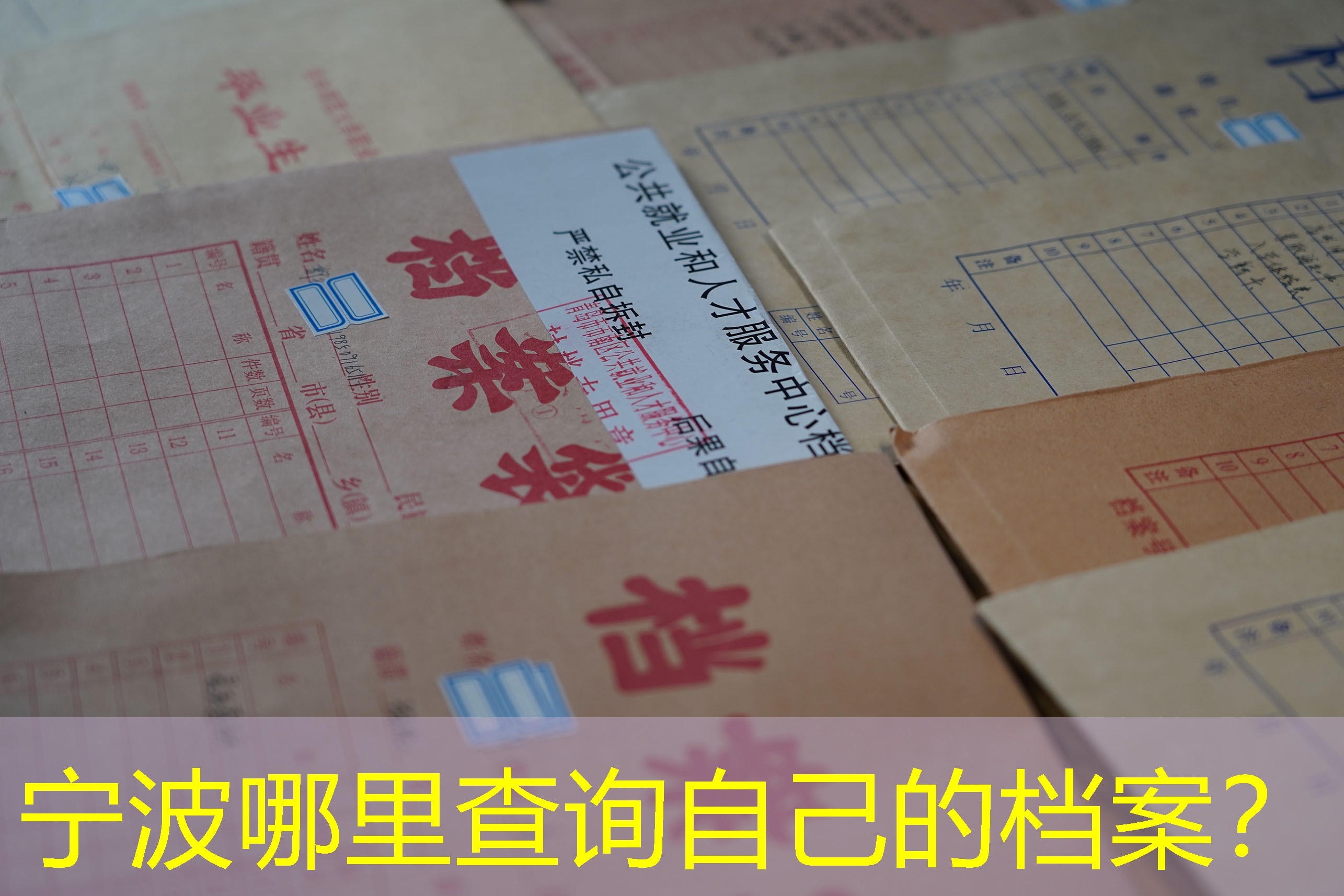 档案查询