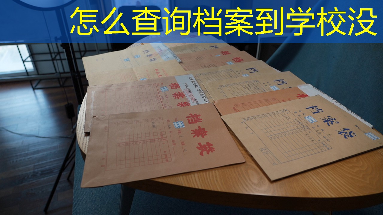 档案查询