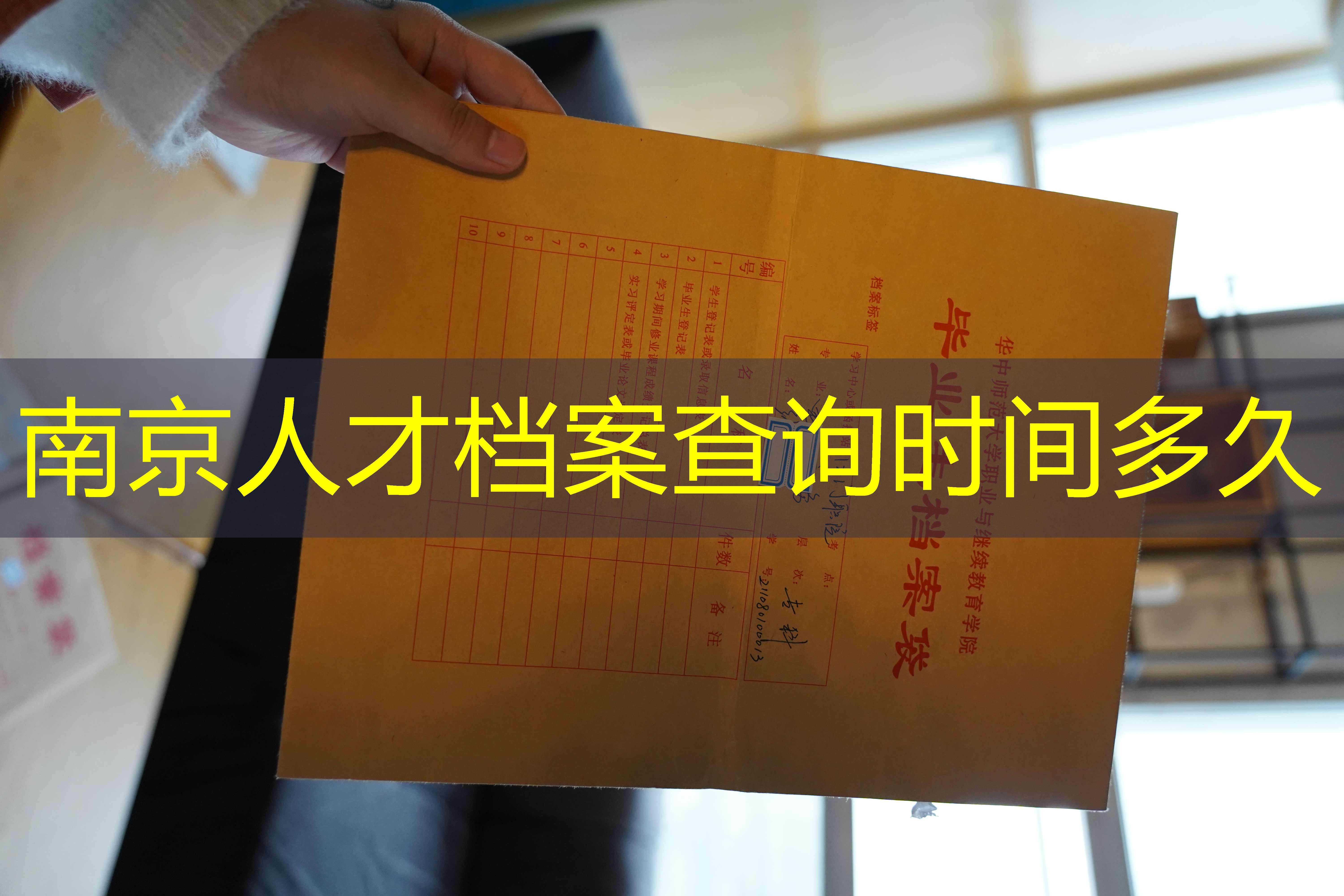档案查询