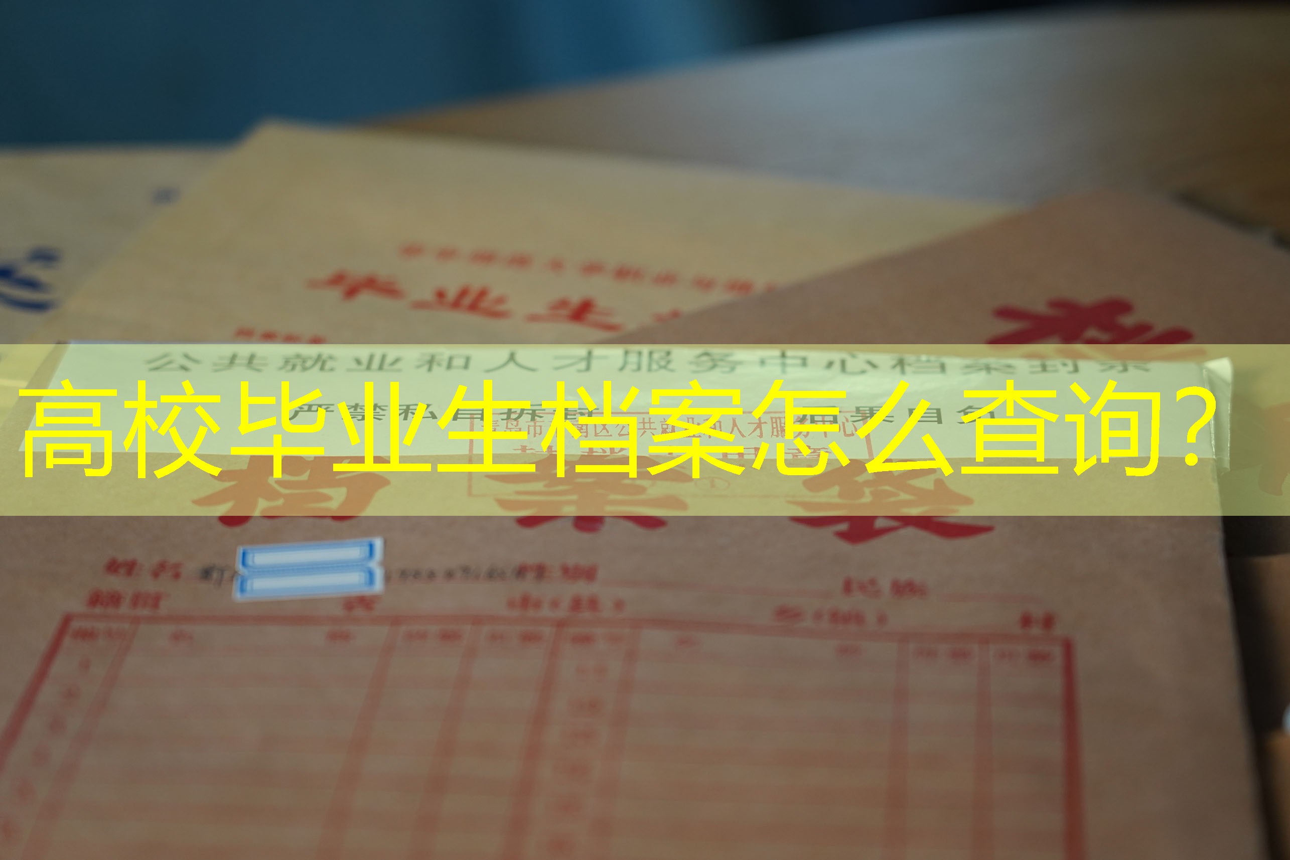 档案查询