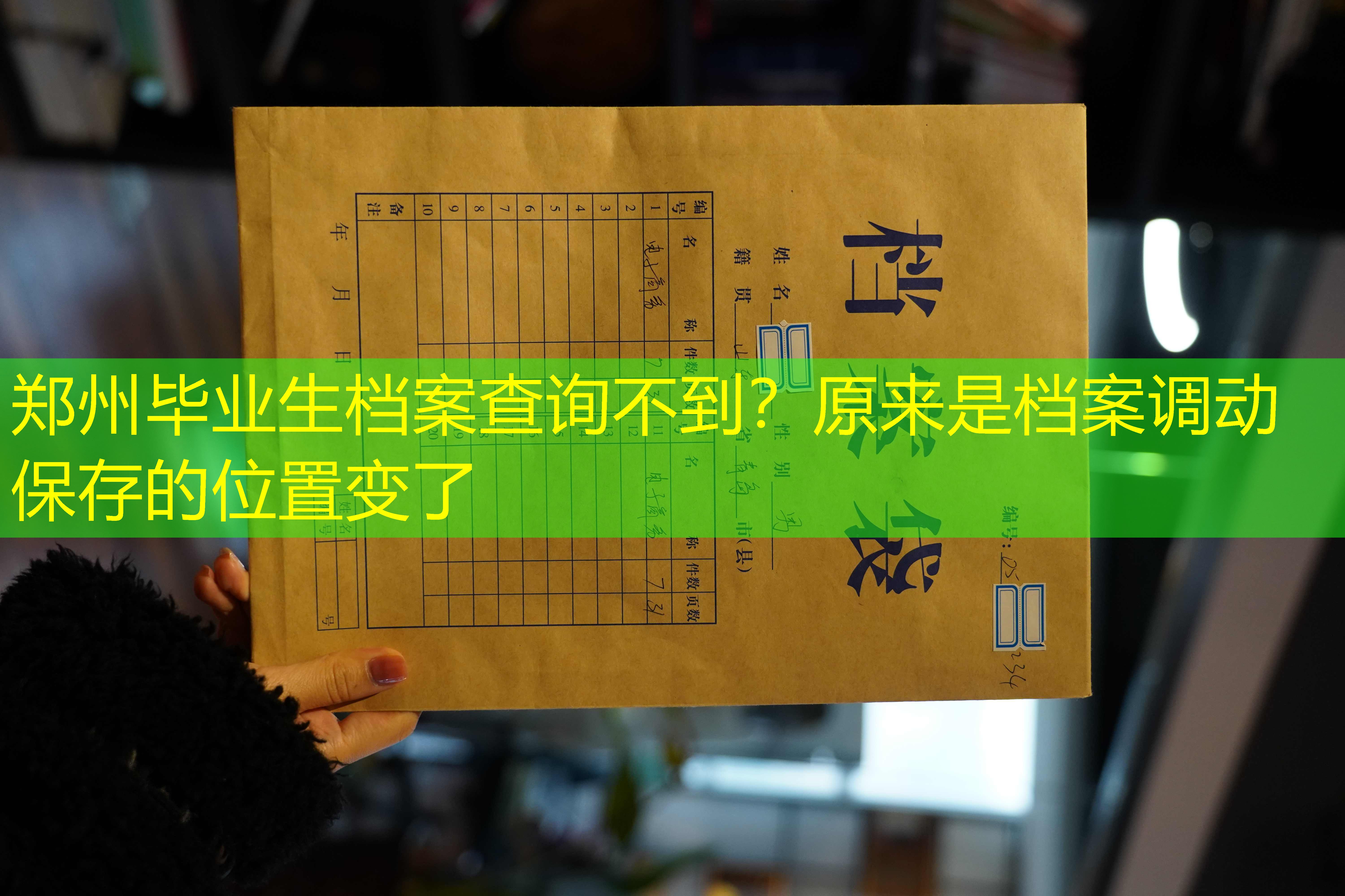 档案查询