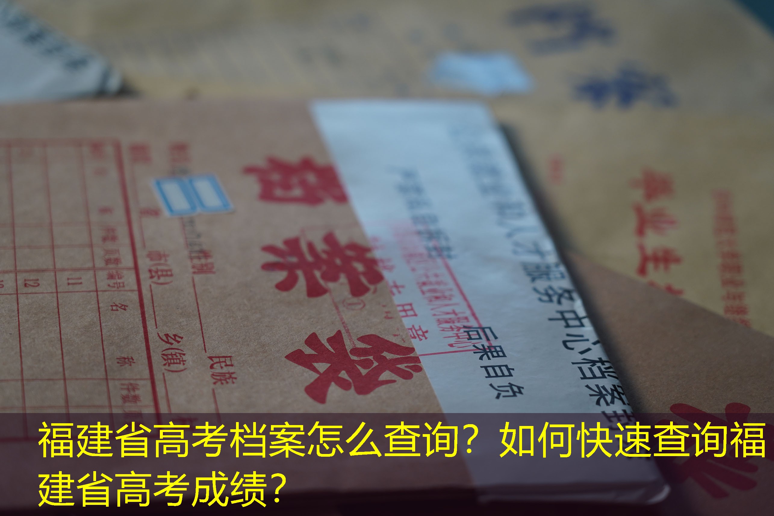 档案查询