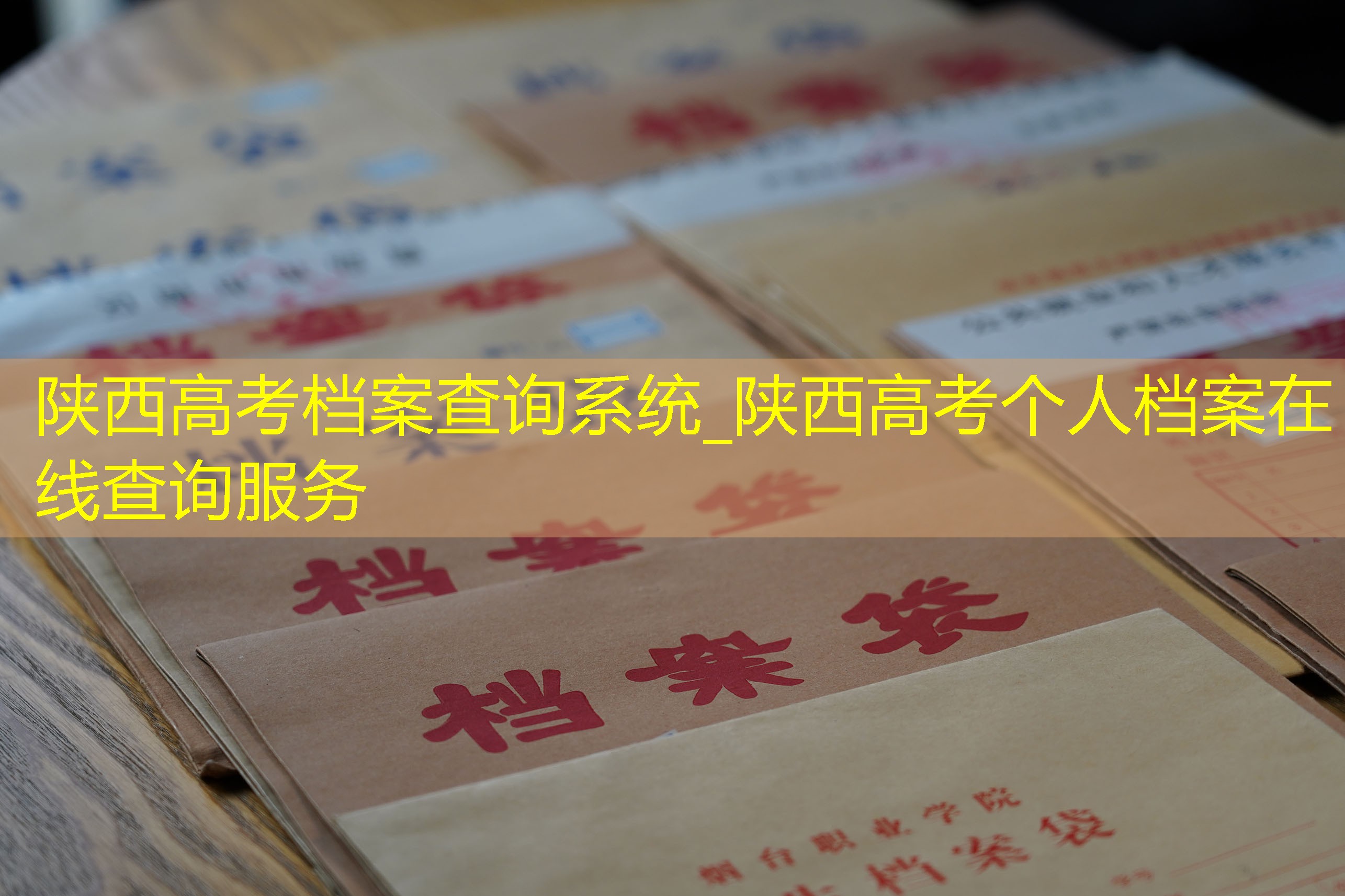档案查询