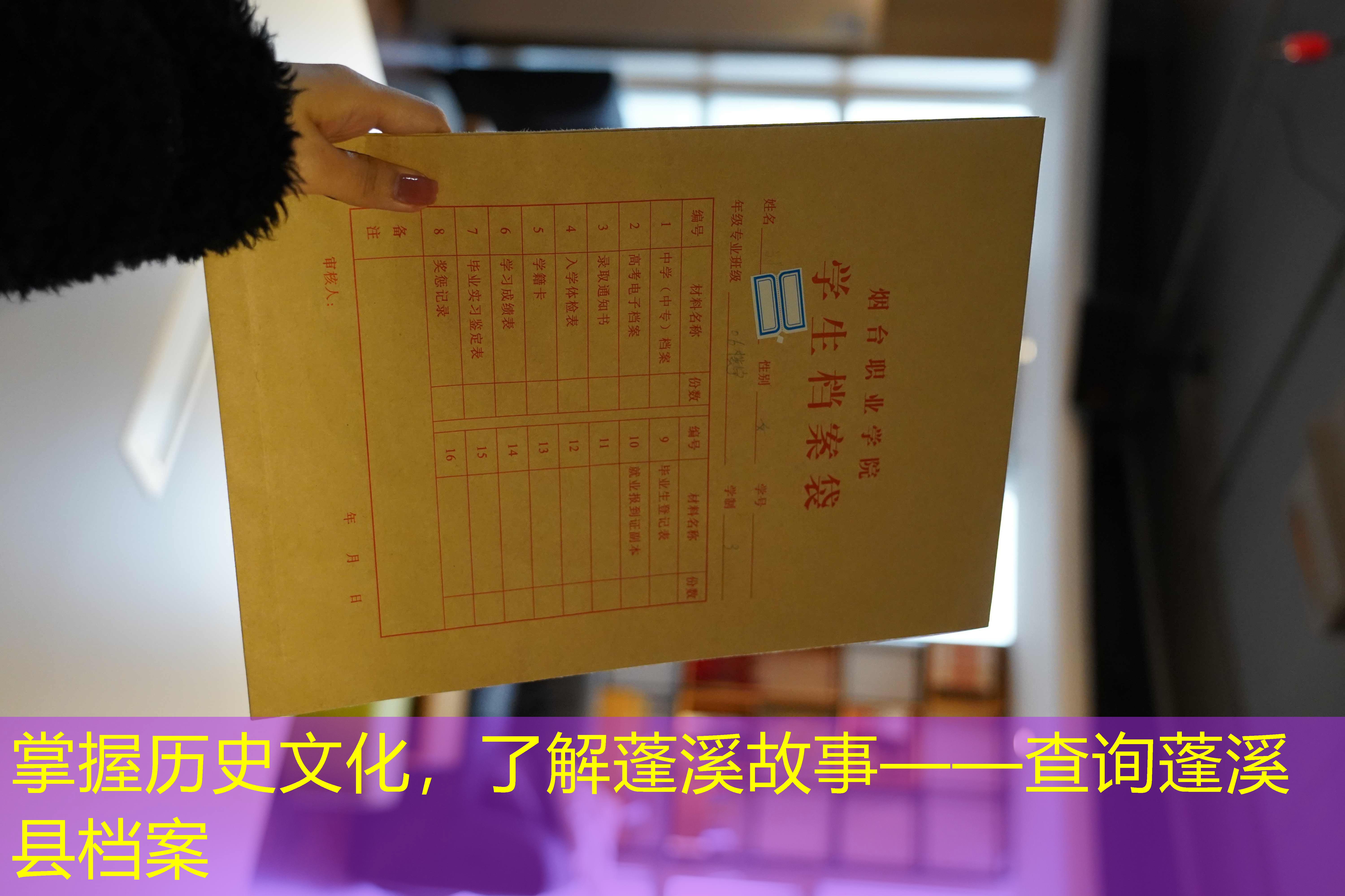 档案查询