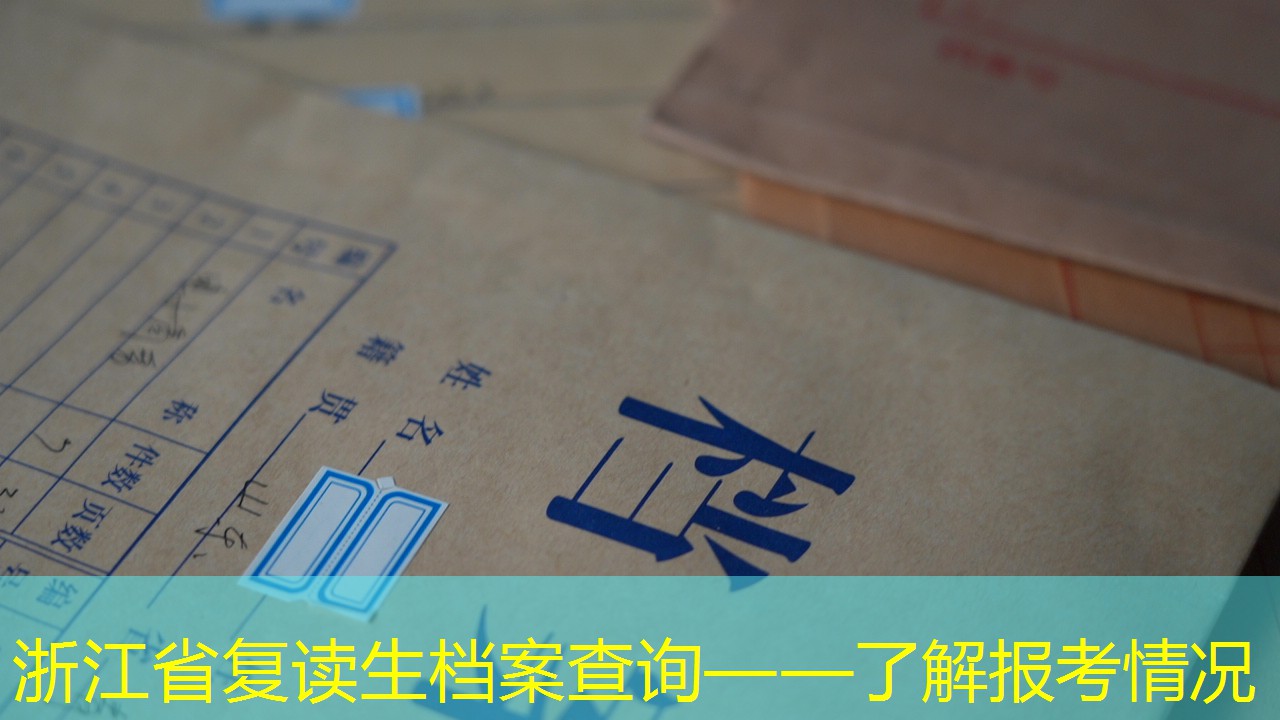 档案查询