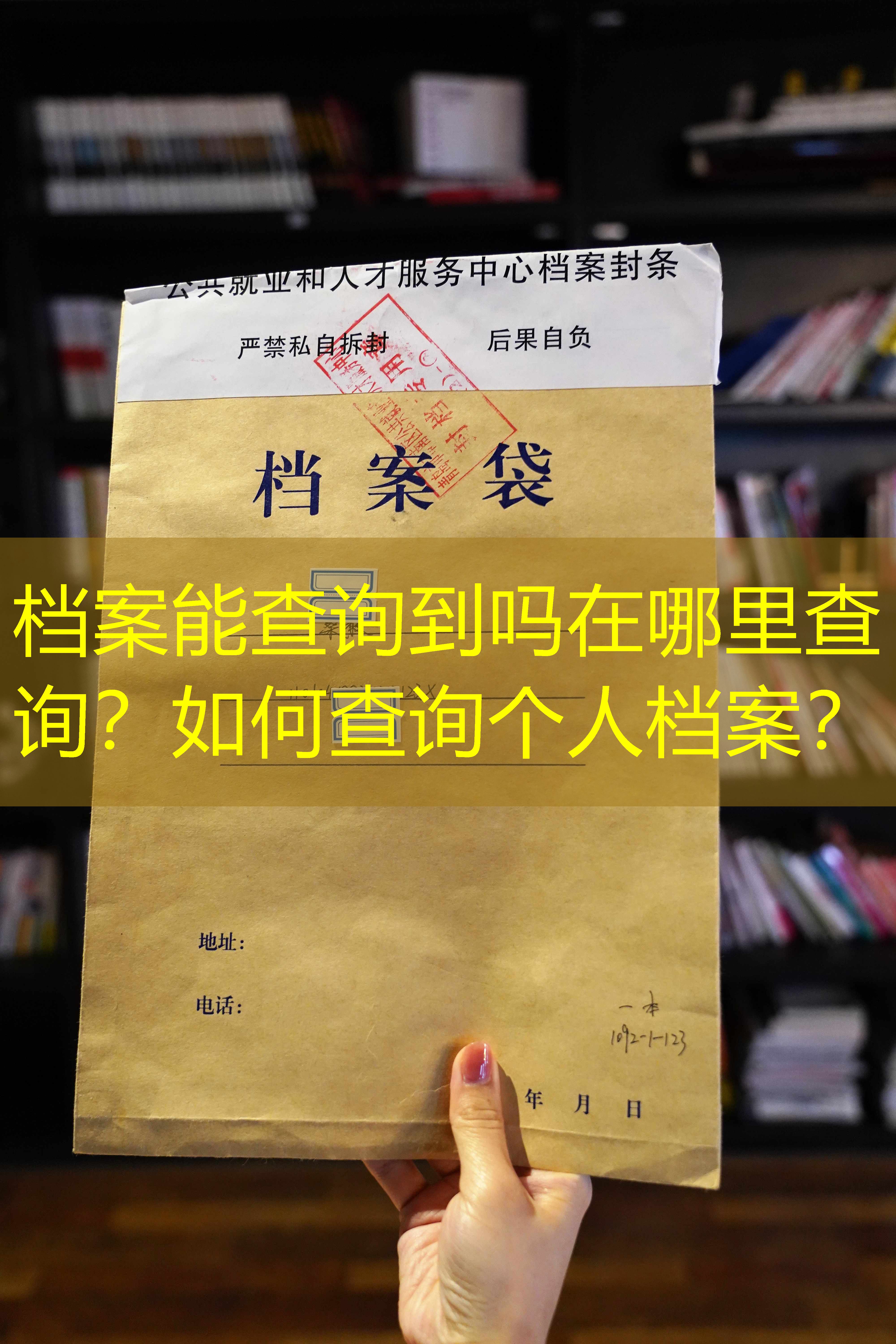 档案查询