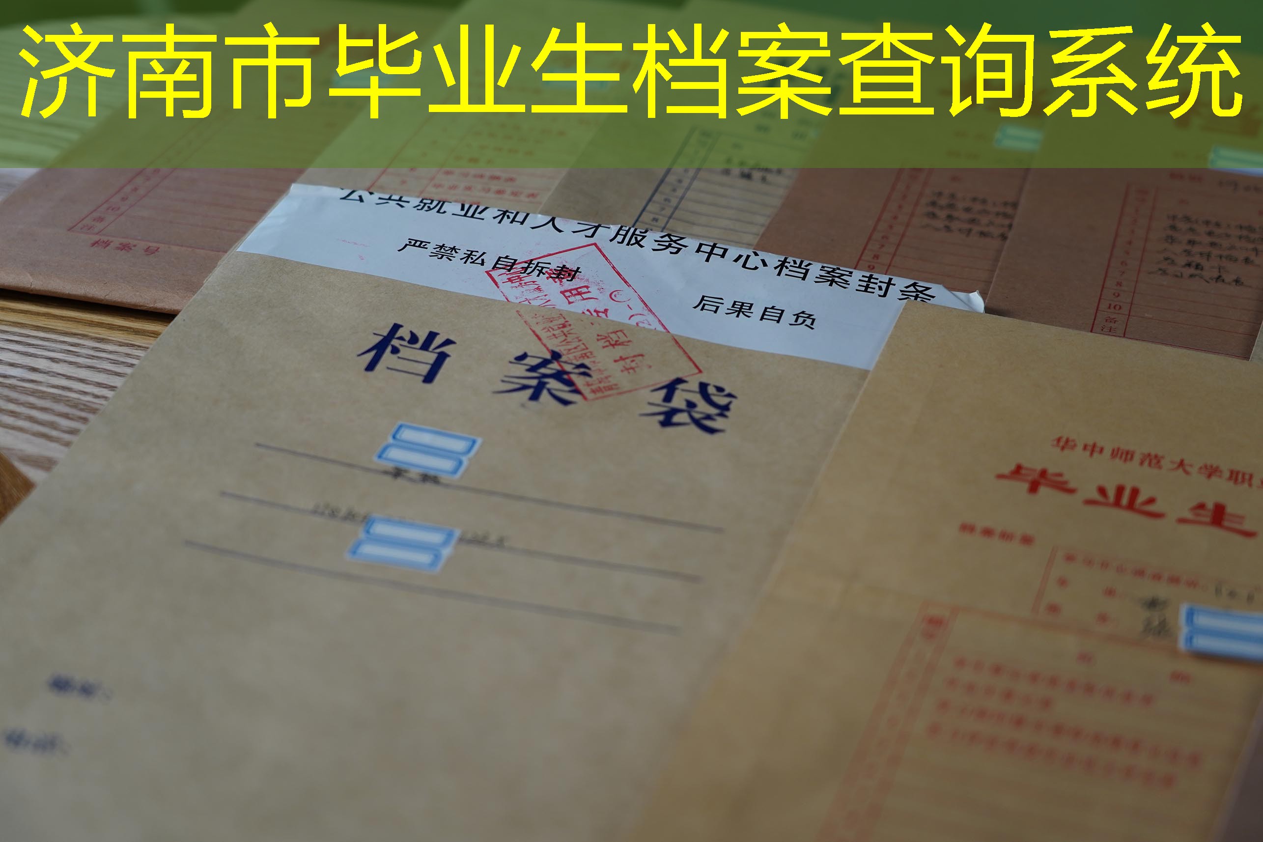 档案查询
