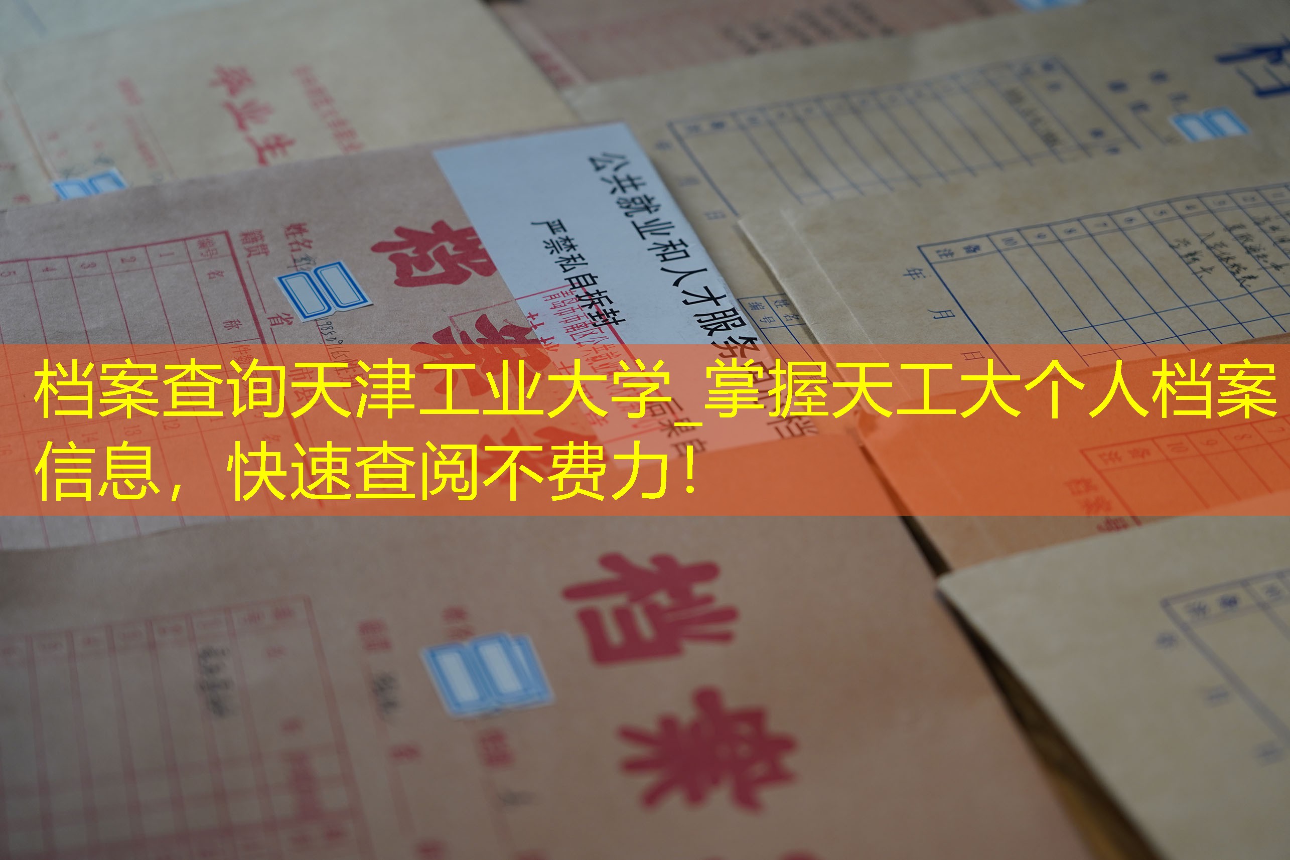 档案查询