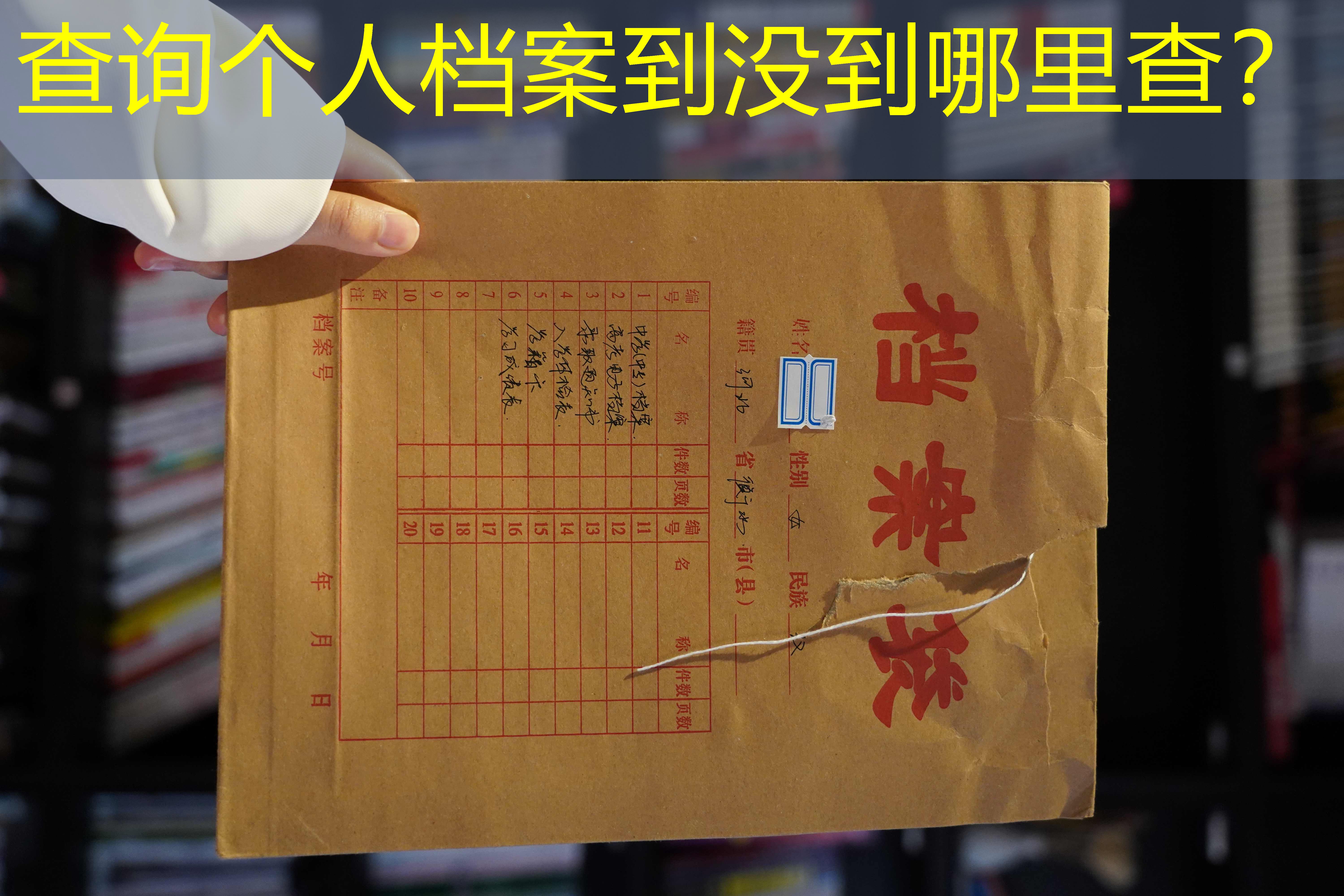 档案查询