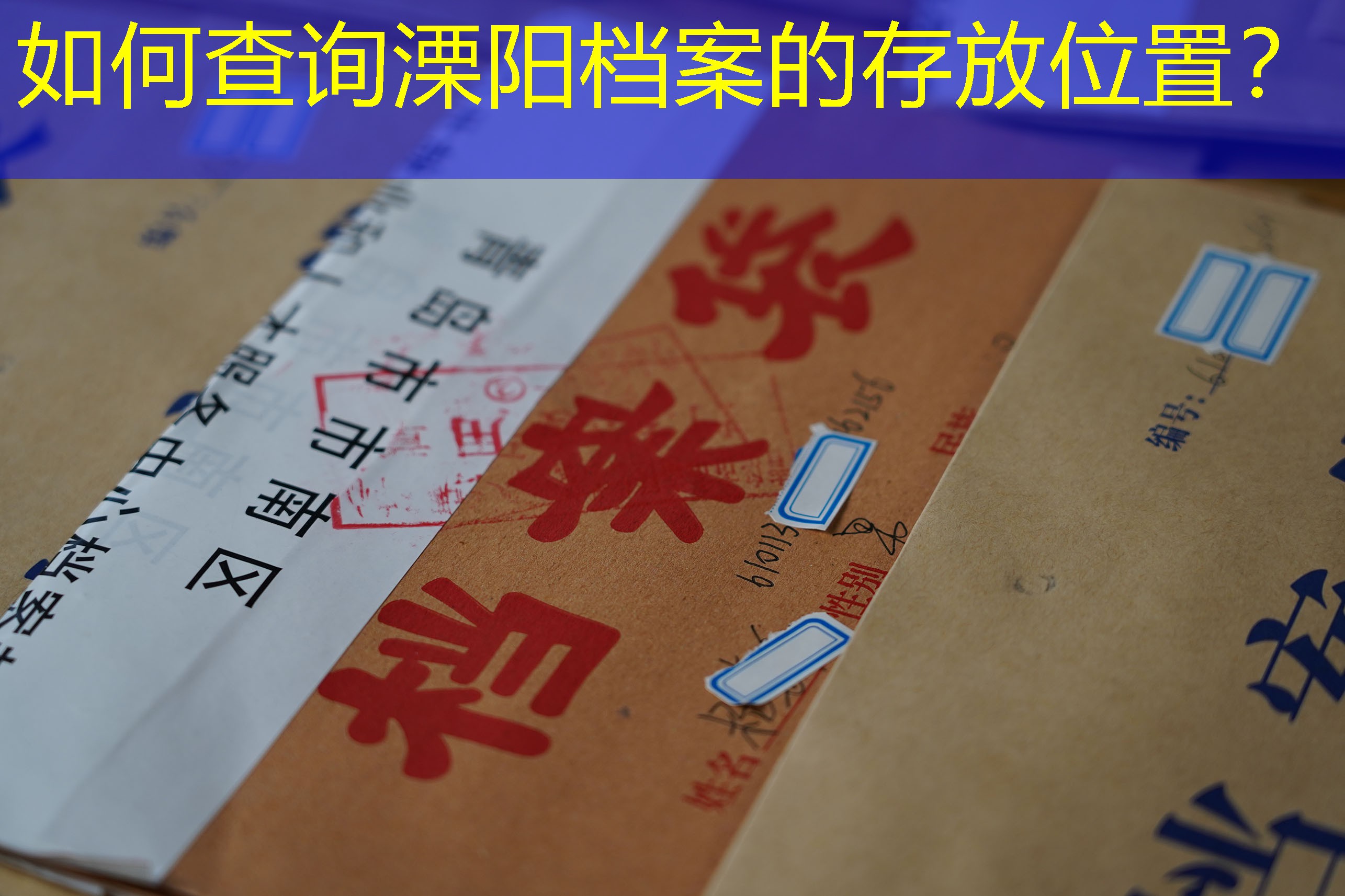 档案查询