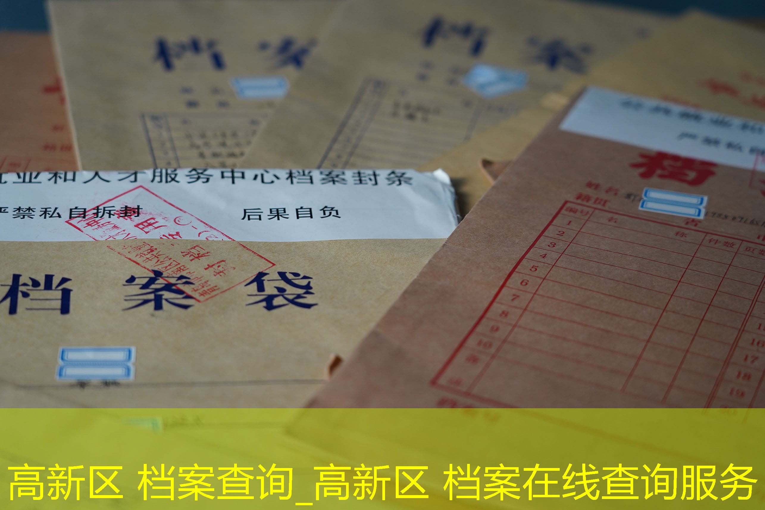 档案查询