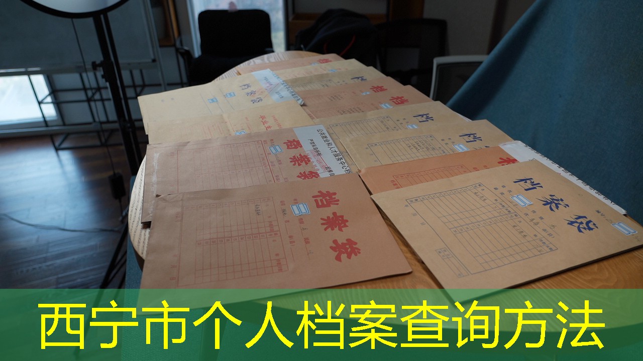 档案查询