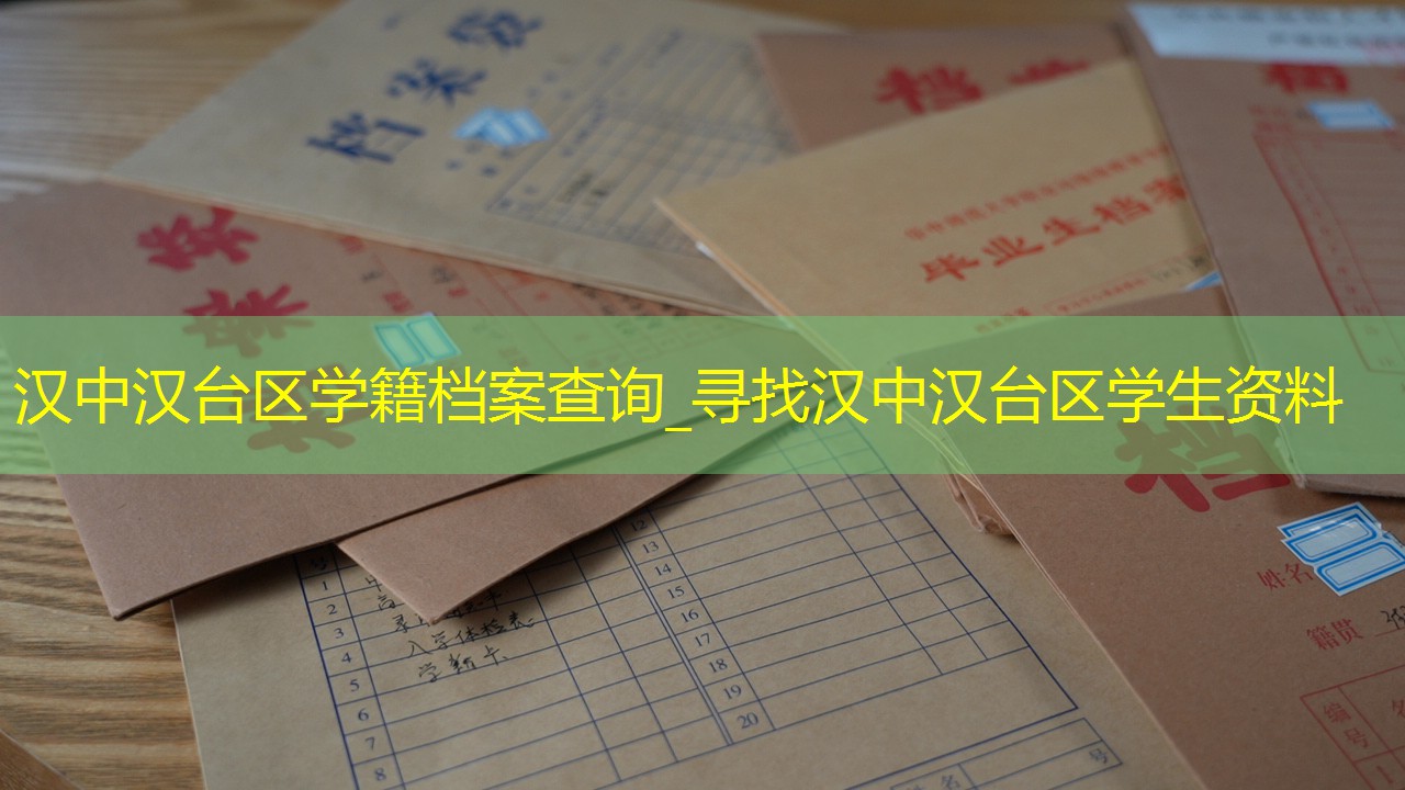 档案查询