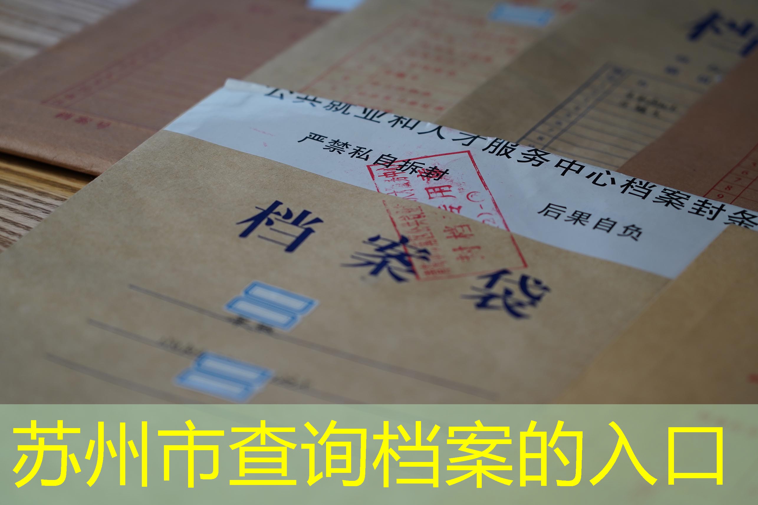 档案查询