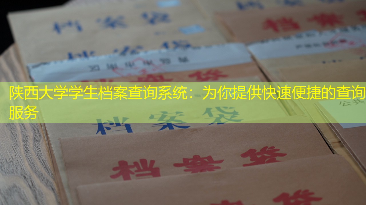 档案查询