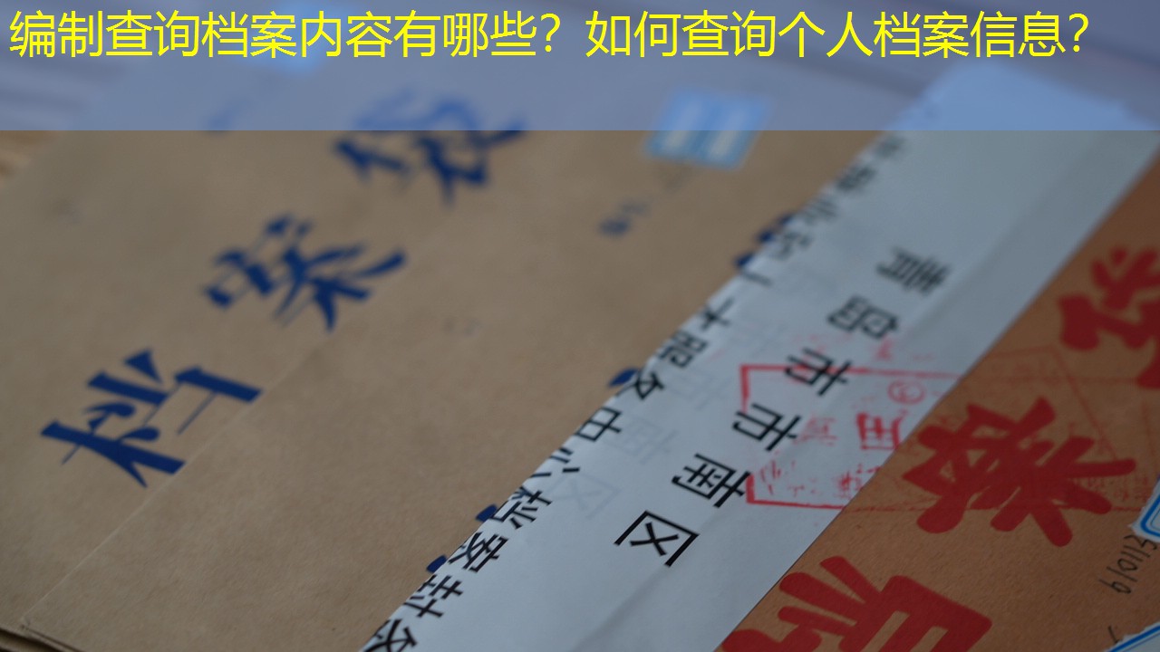档案查询