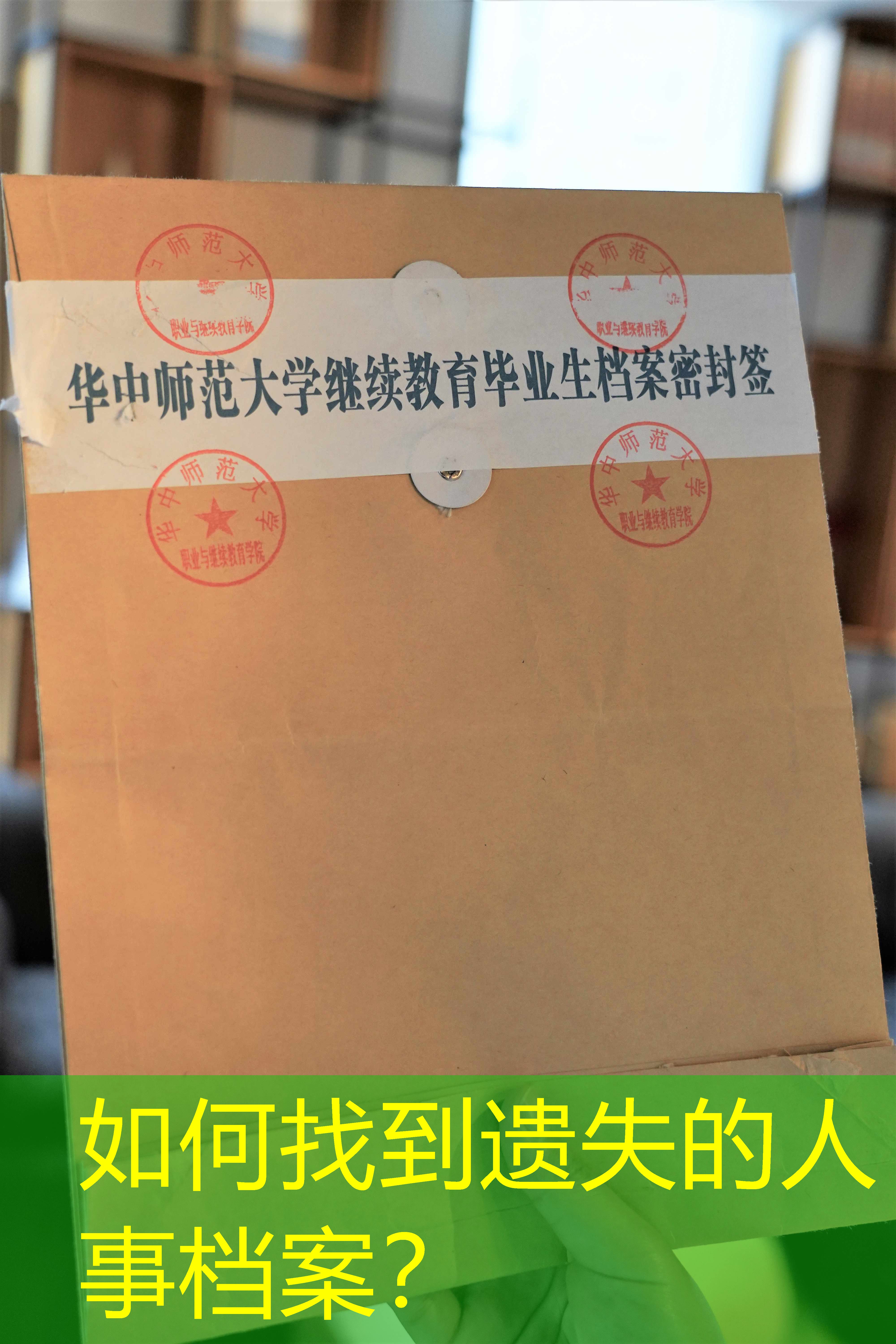 档案查询