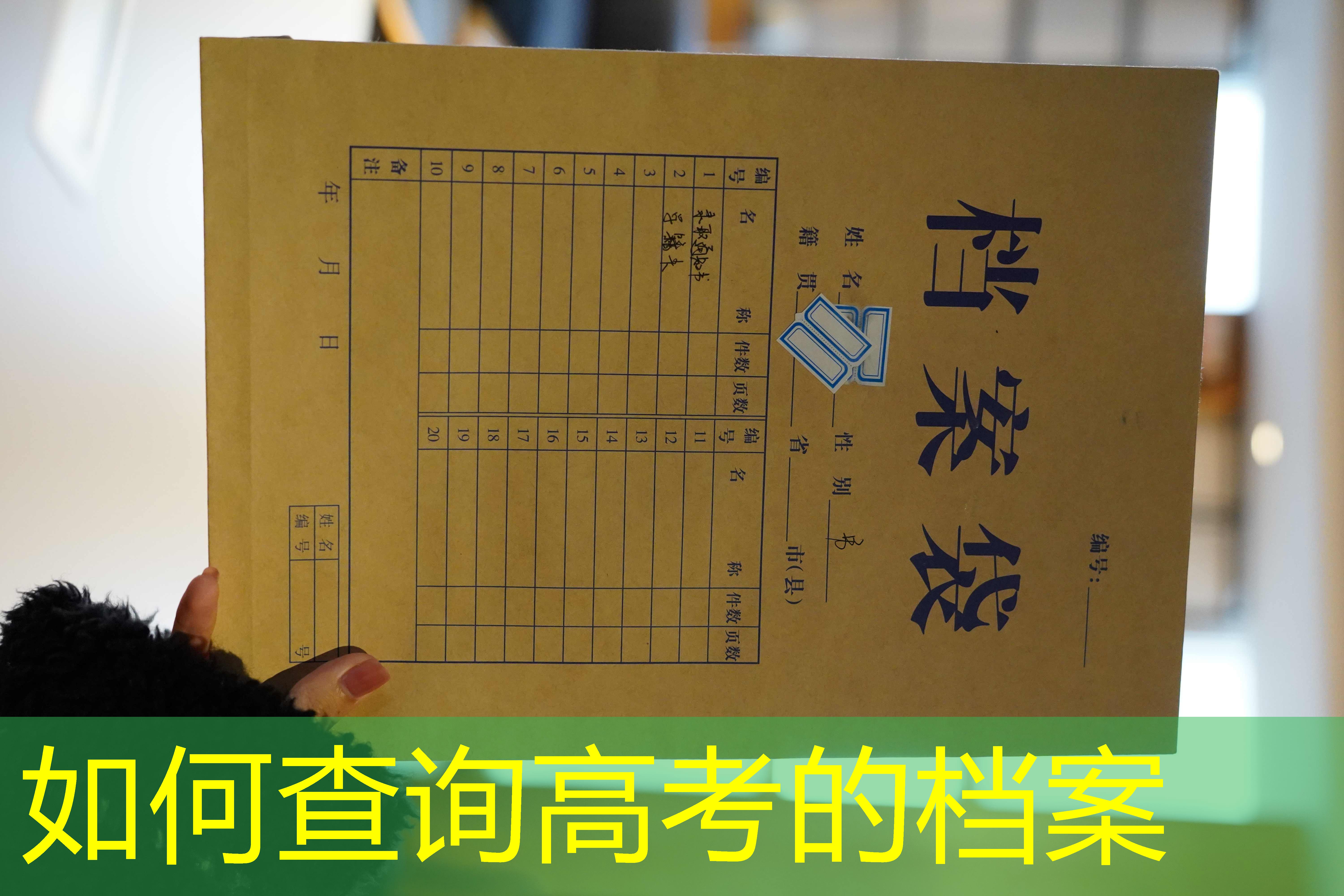 档案查询