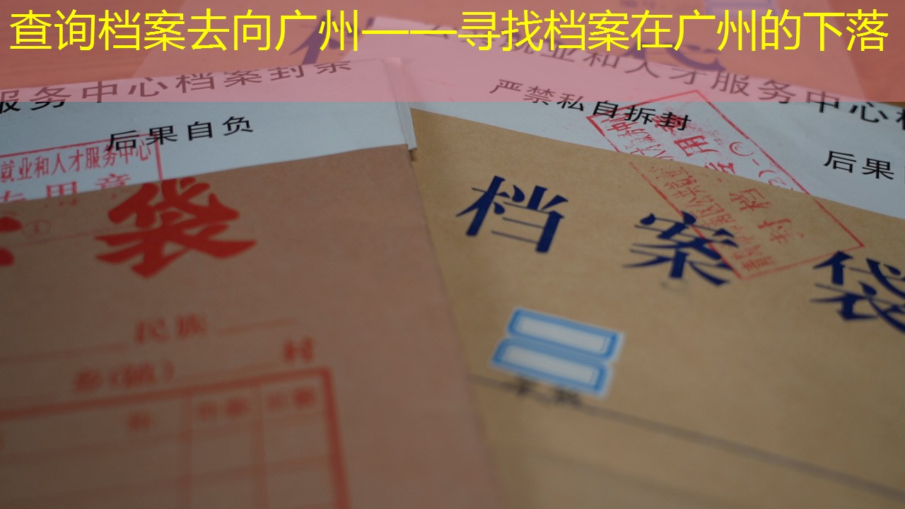 档案查询
