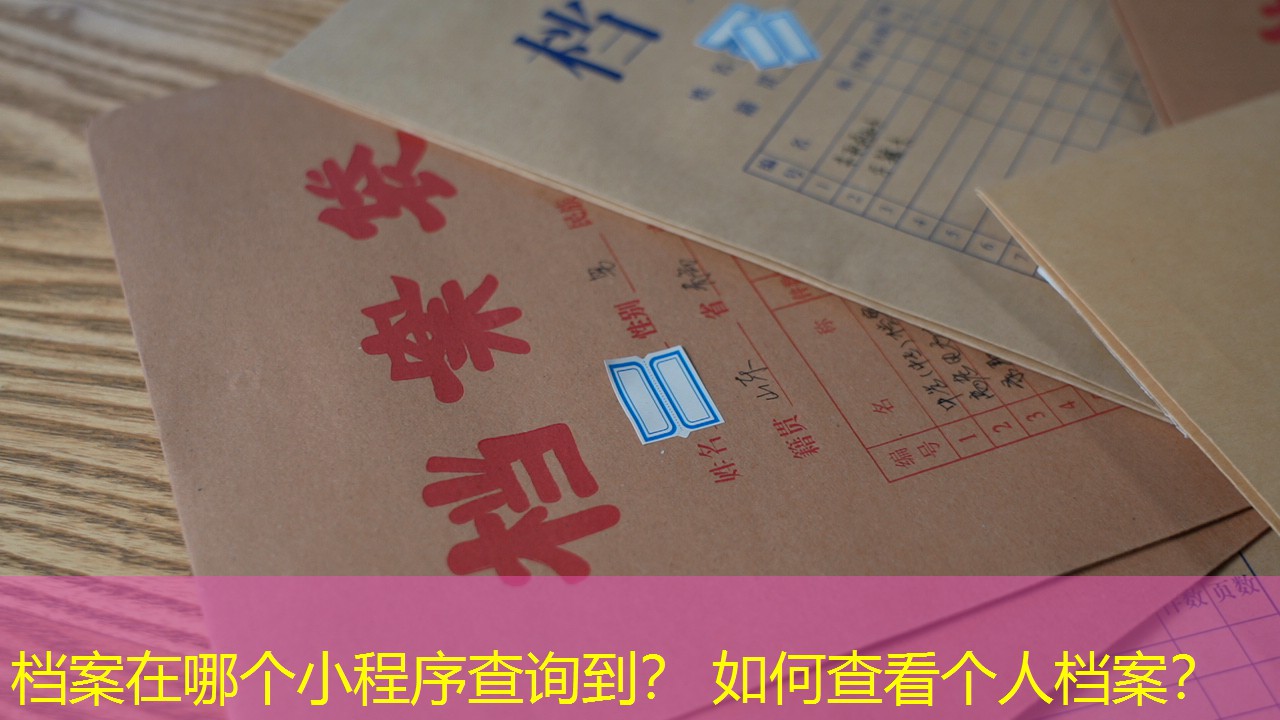 档案查询