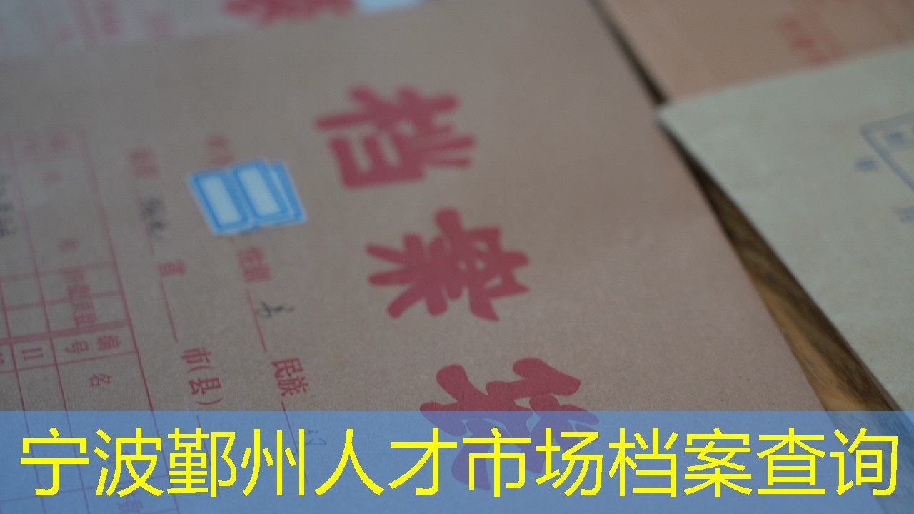 档案查询