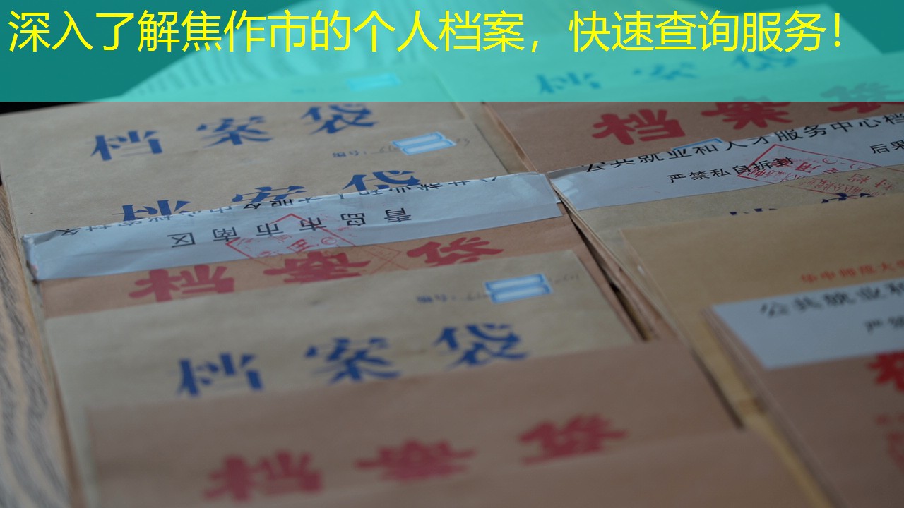 档案查询
