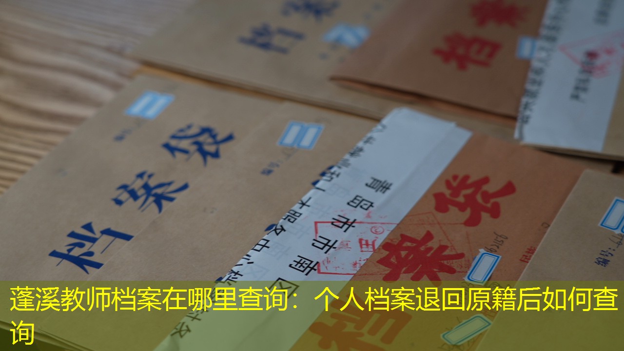 档案查询