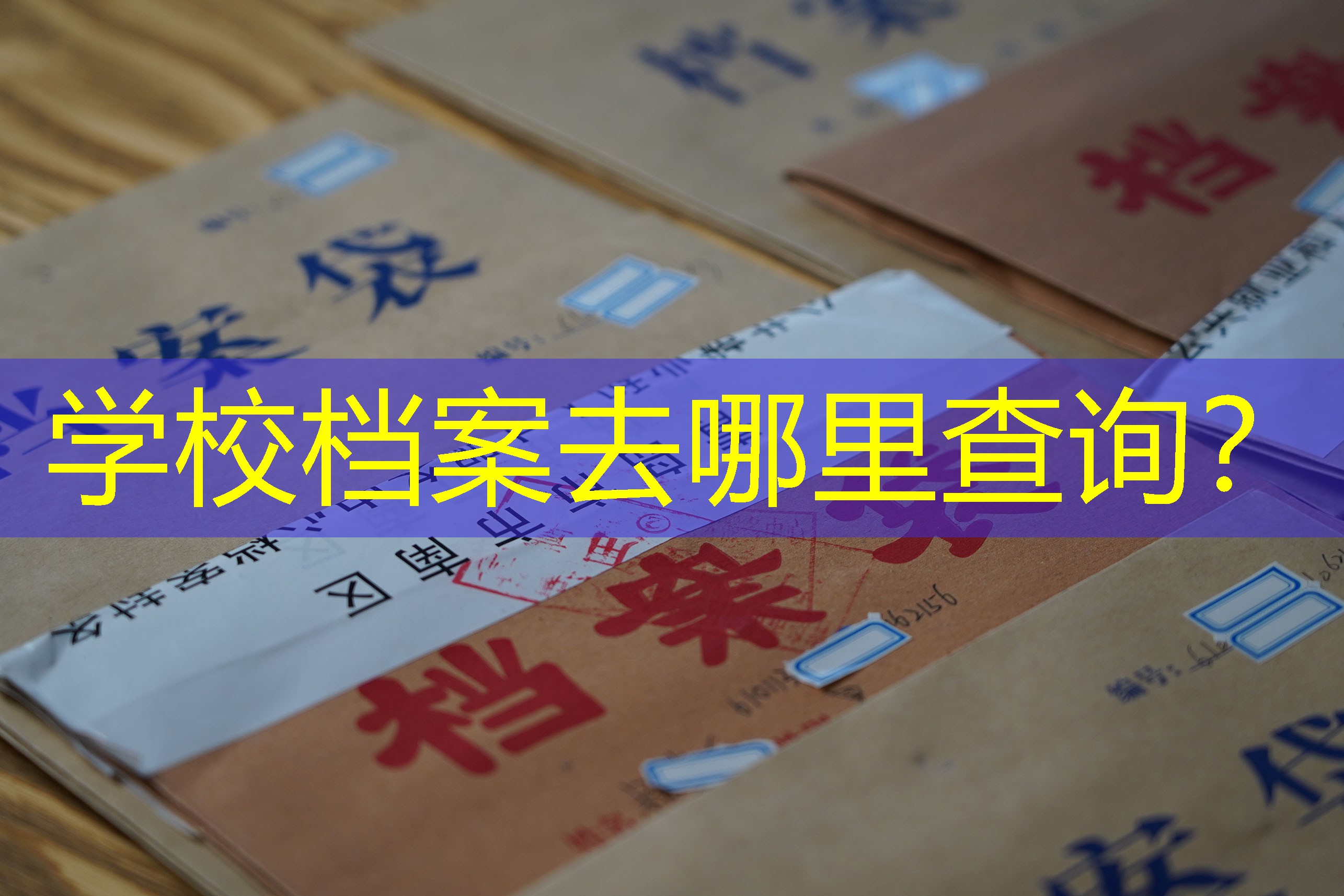 档案查询