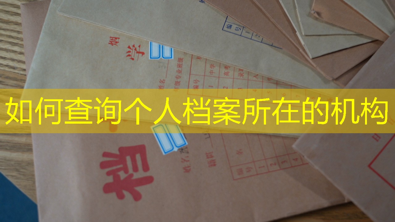 档案查询