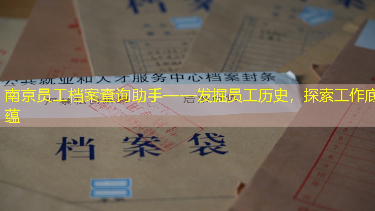 档案查询